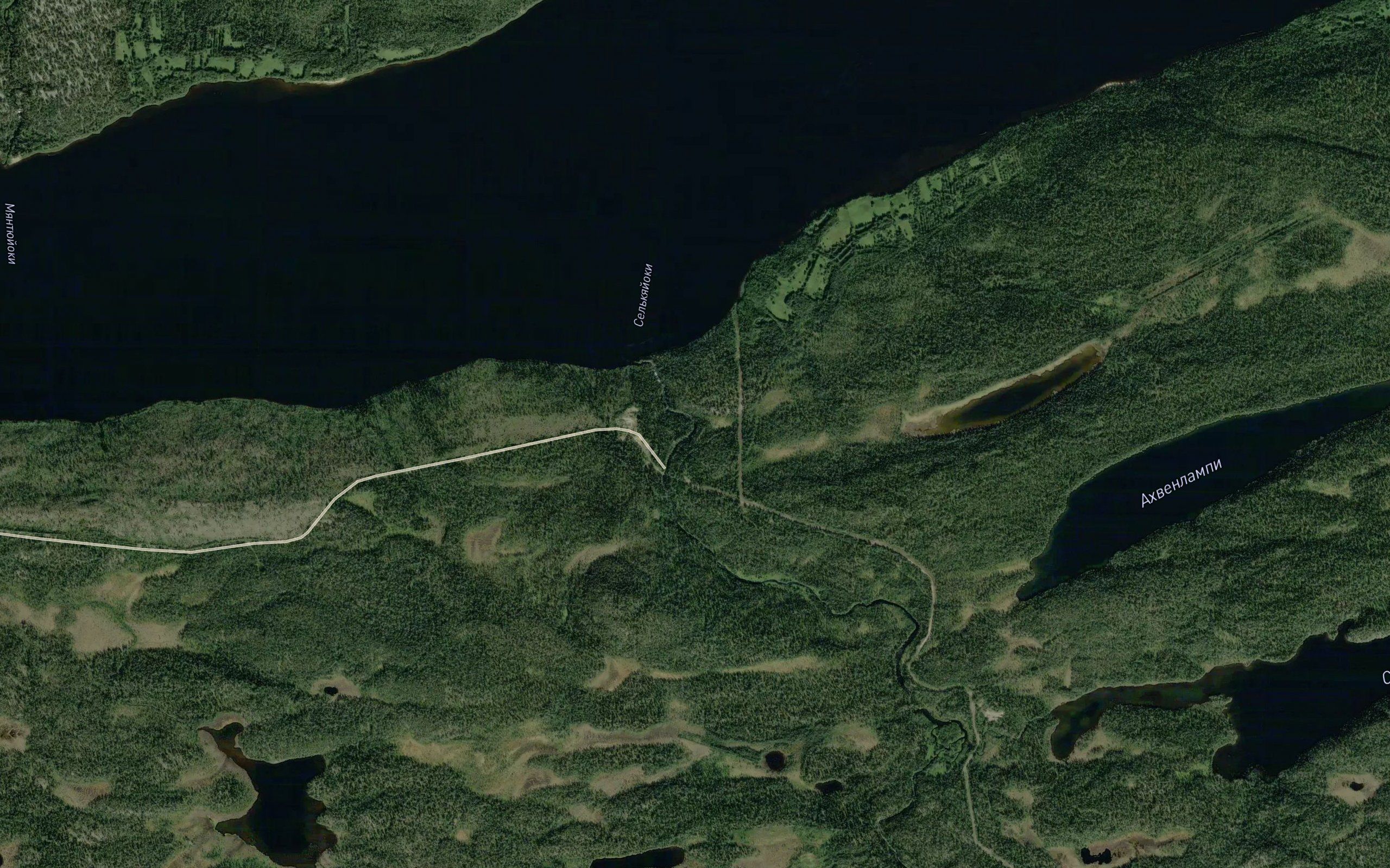 Selkaejoki
