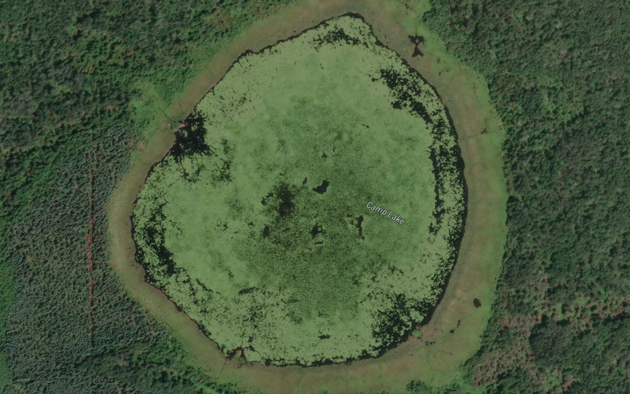 Camp Lake