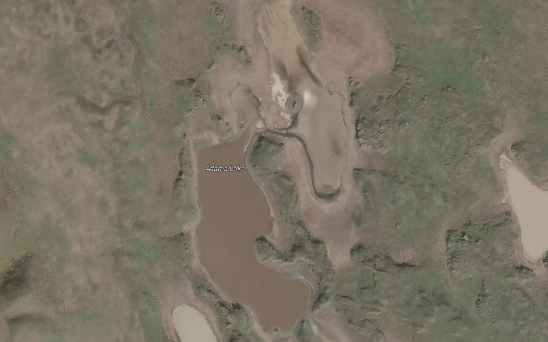 Satellite map of the Adams Lake