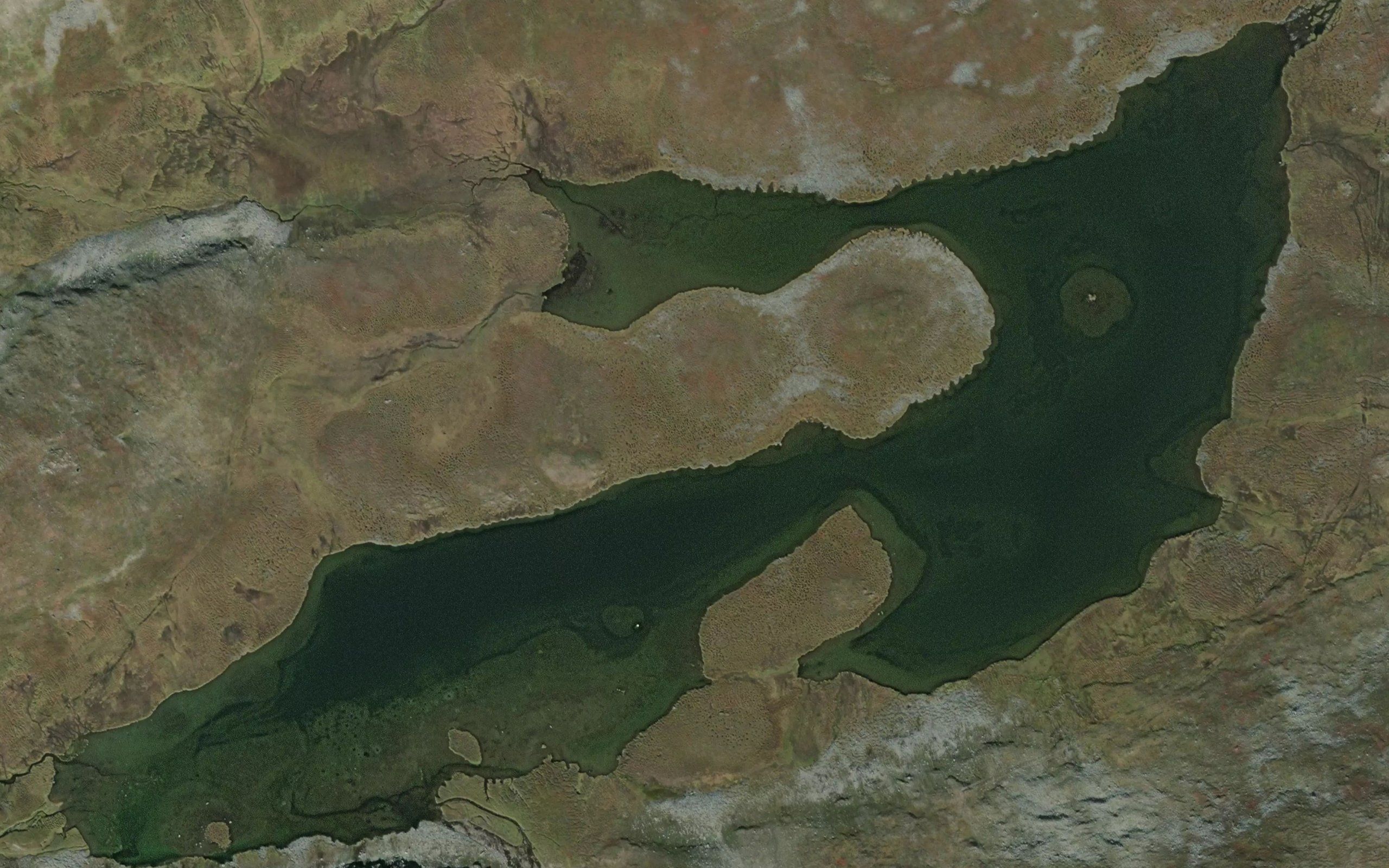 Baelljaidjavri