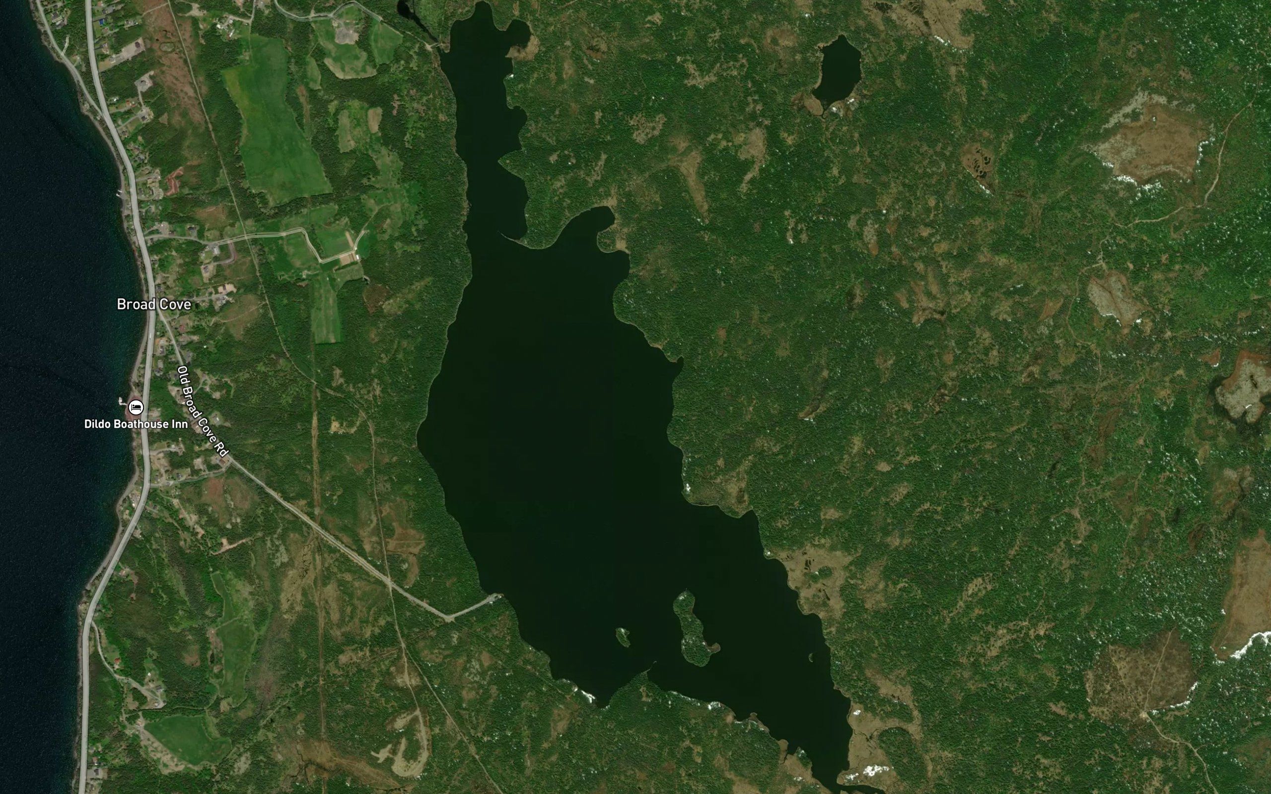 Broad Cove Pond