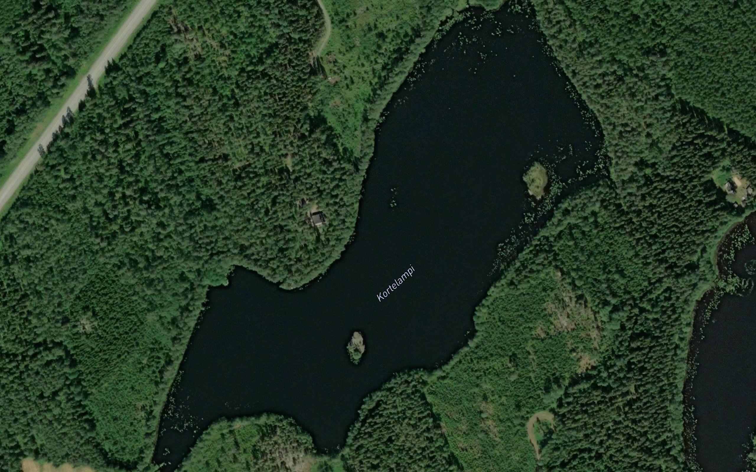 Kortelampi