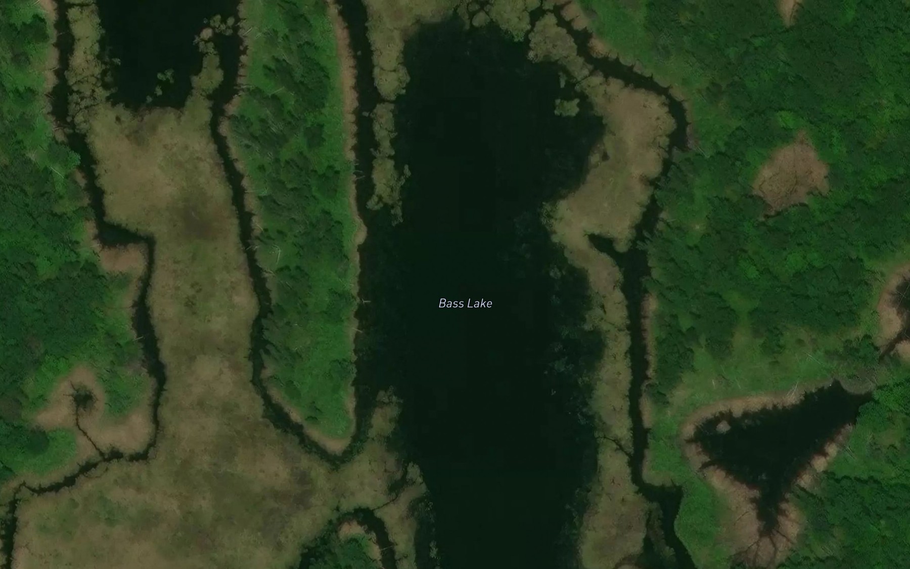 Satellite map of the Bass Lake
