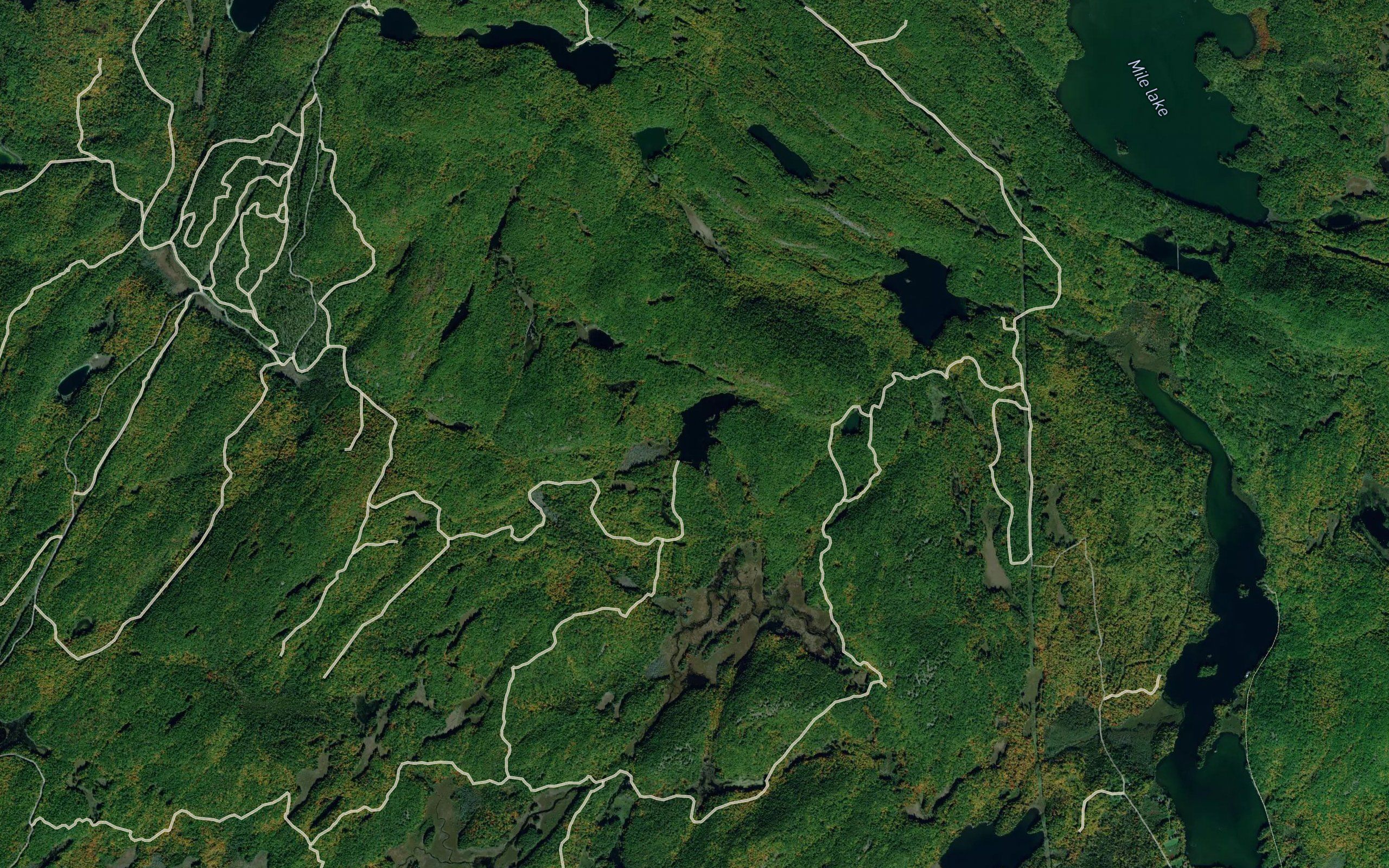 Bailey Lake