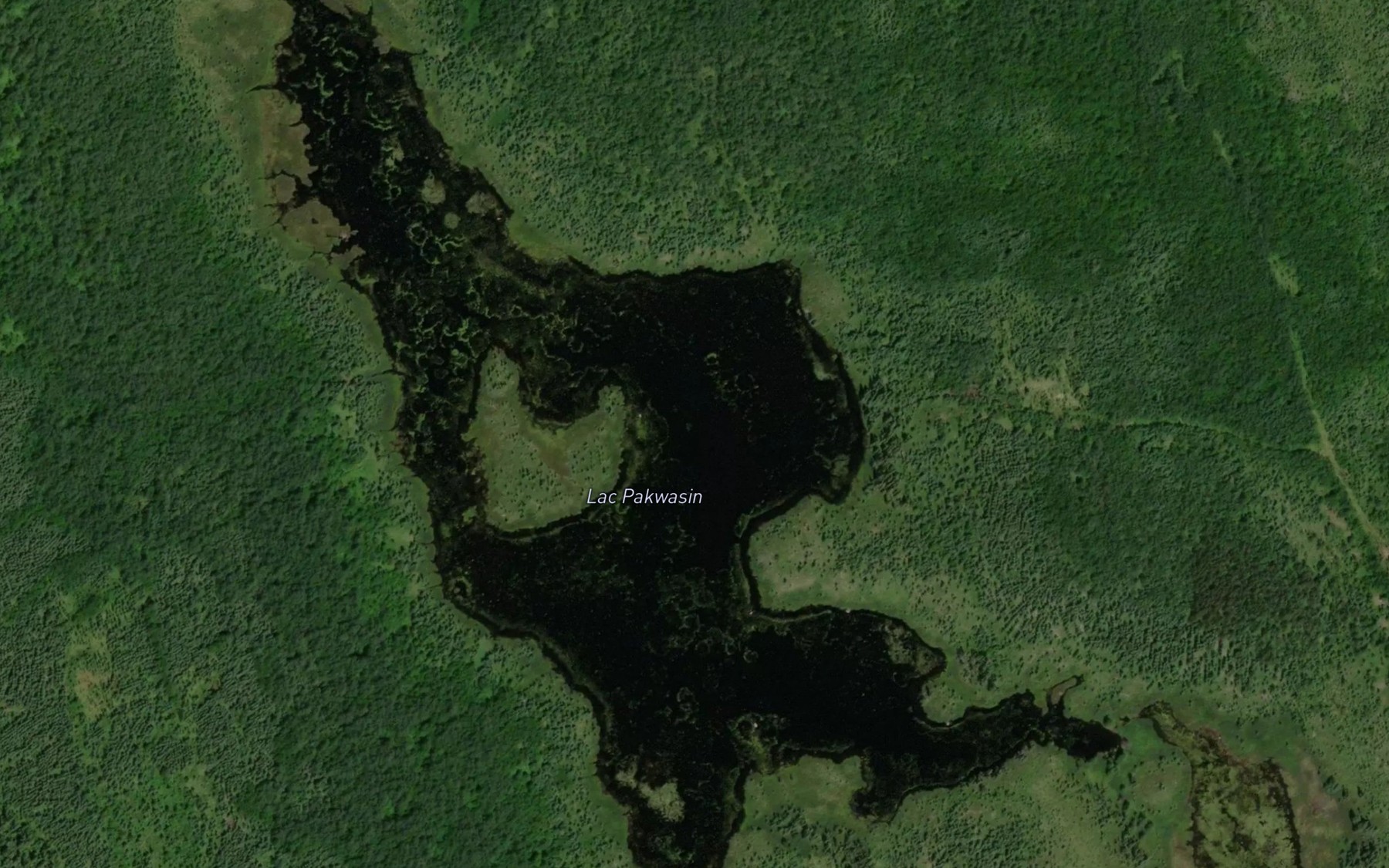 Satellite map of the Lac Pakwasin