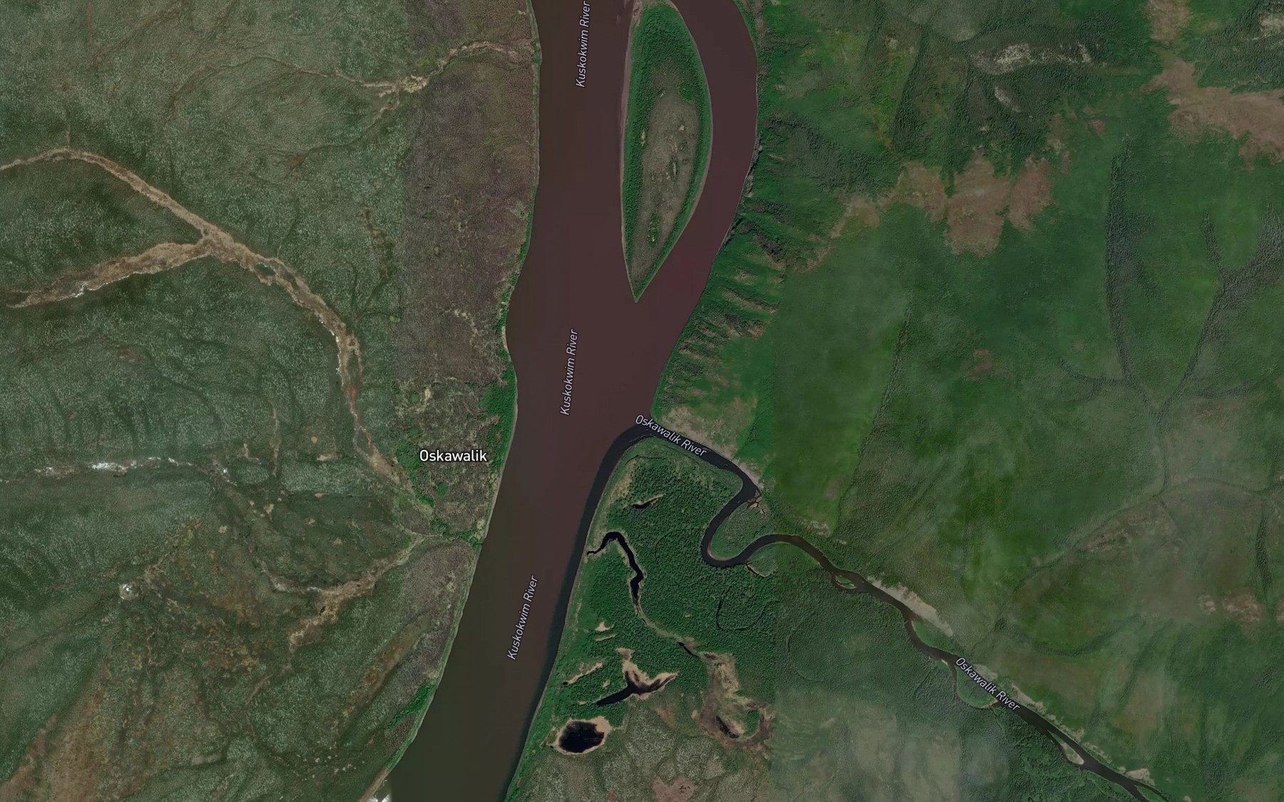 Satellite map of the Oskawalik River