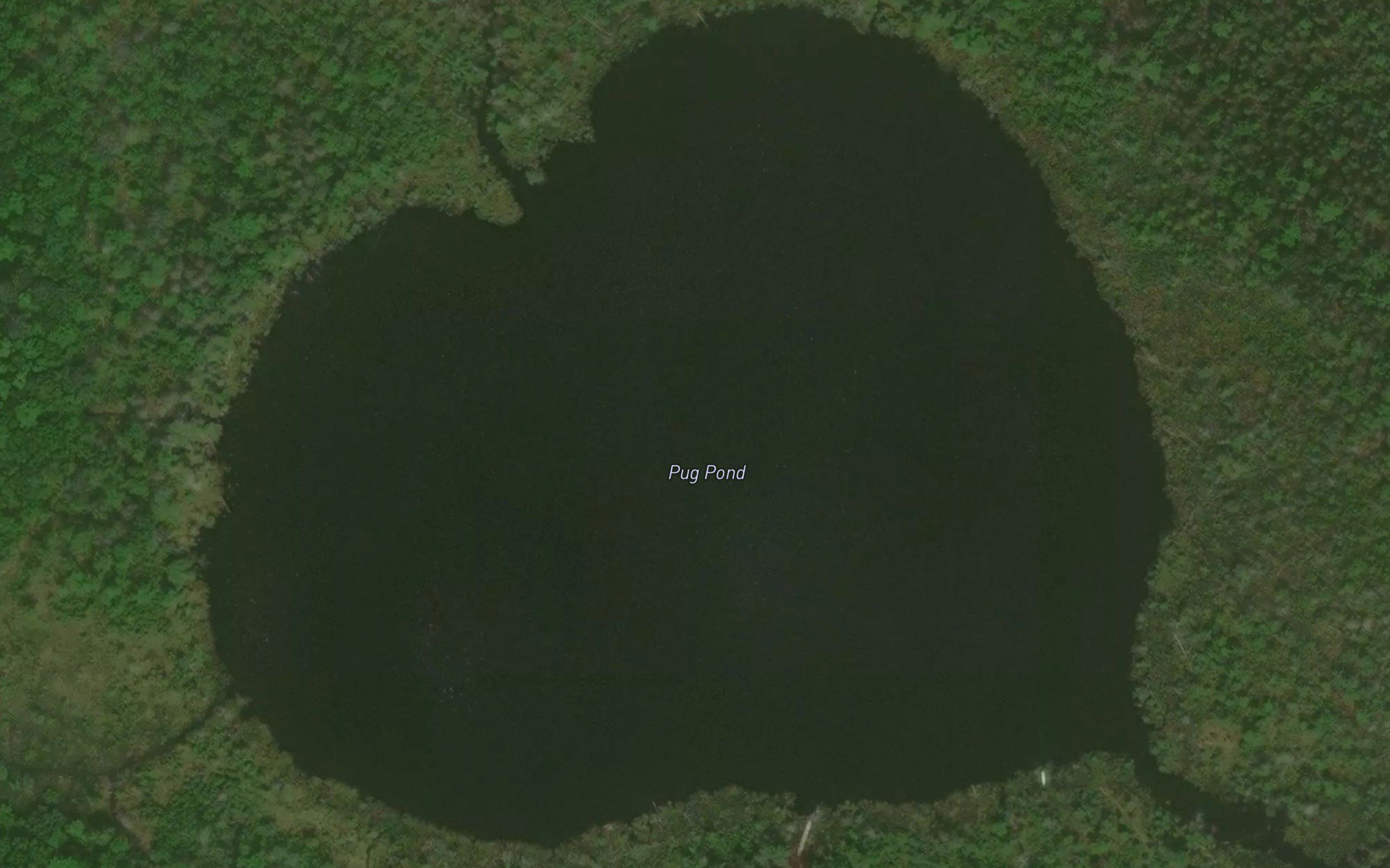 Pug Pond