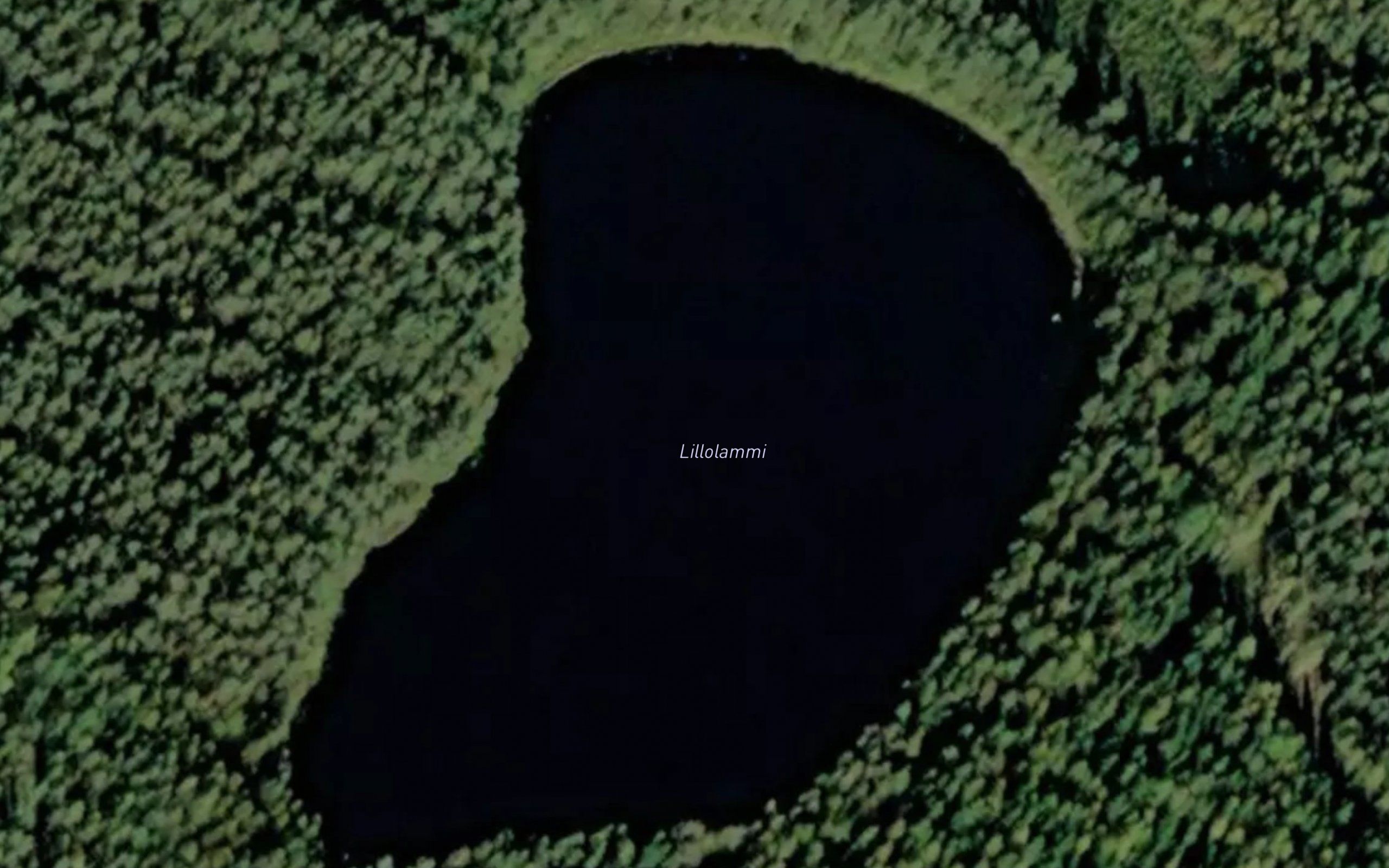 Lillolammi
