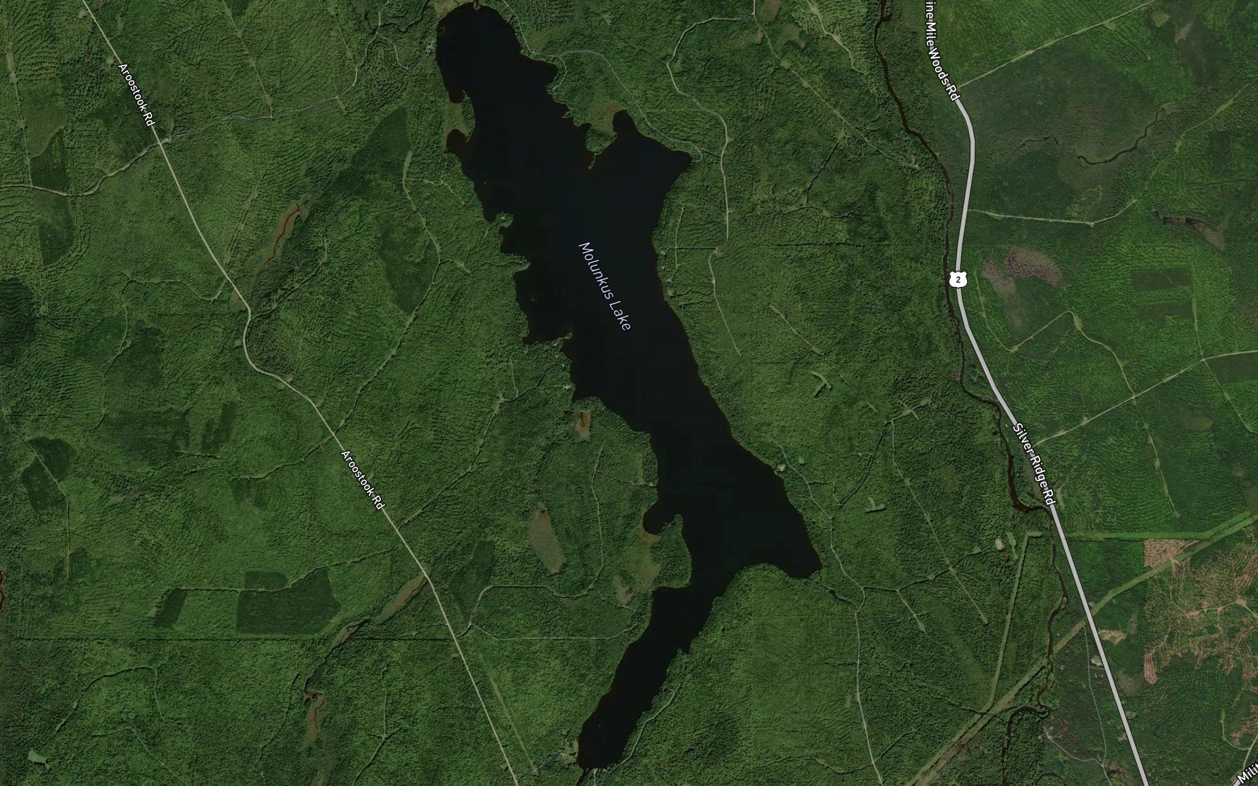 Molunkus Lake