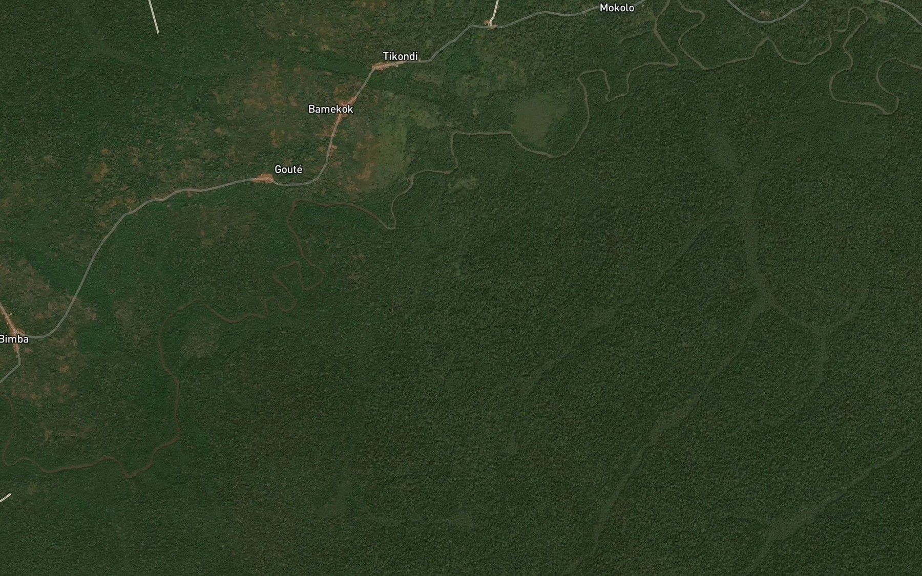 Satellite map of the Niamgondo
