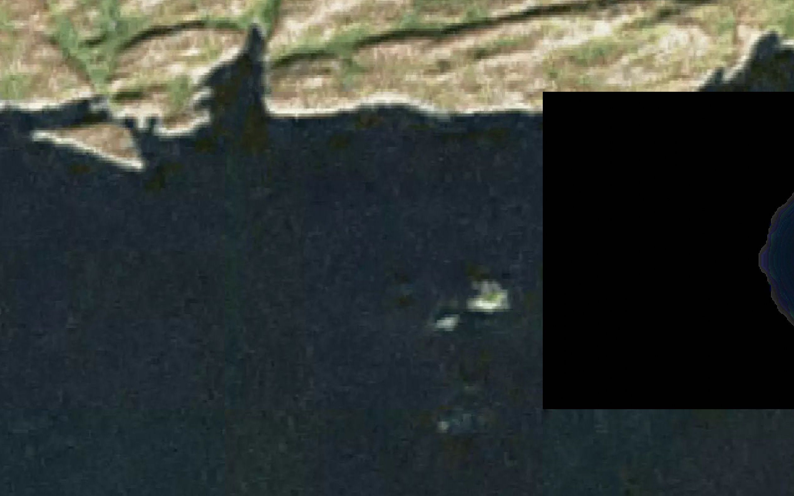 Sarqardleq