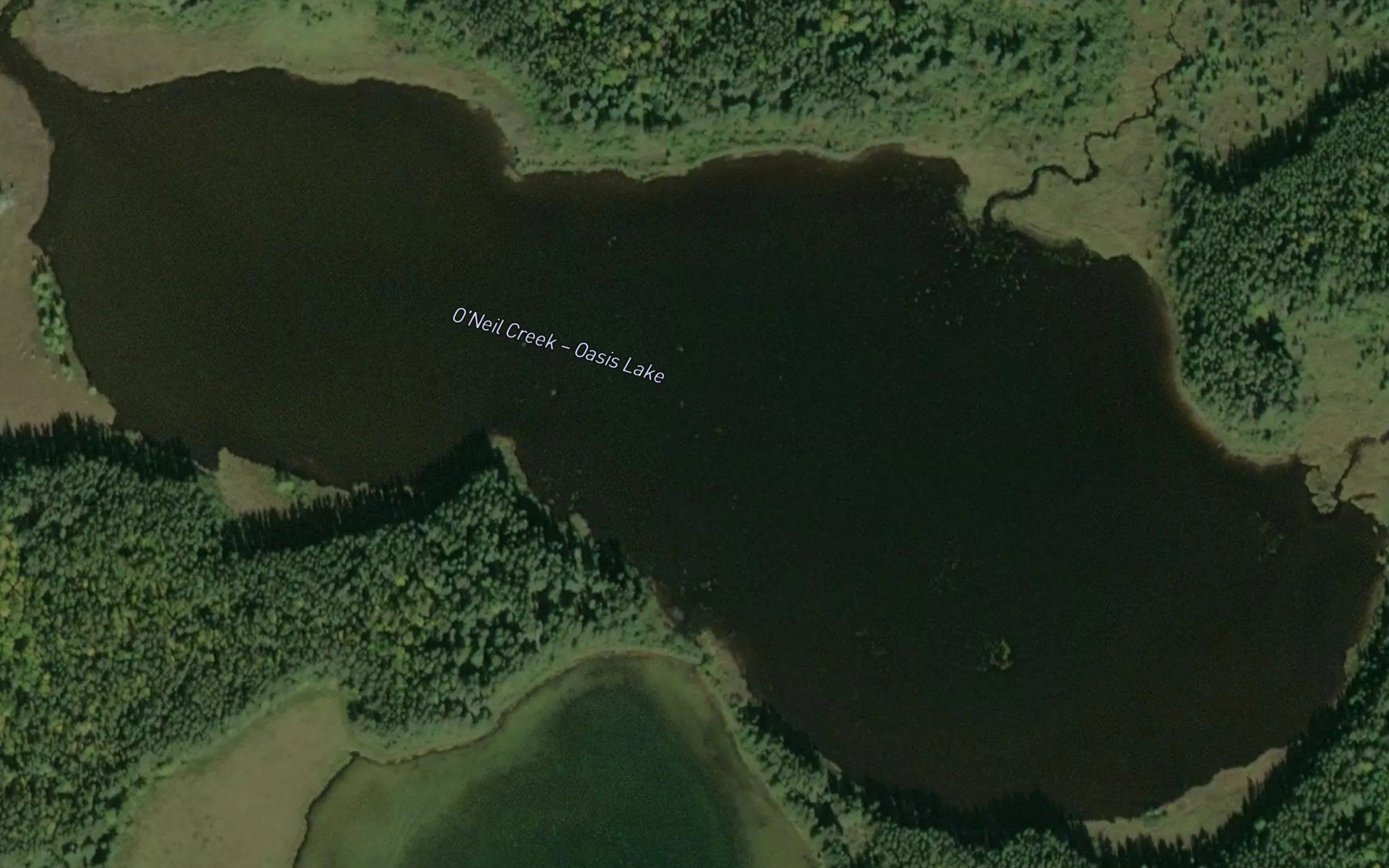 Oasis Lake