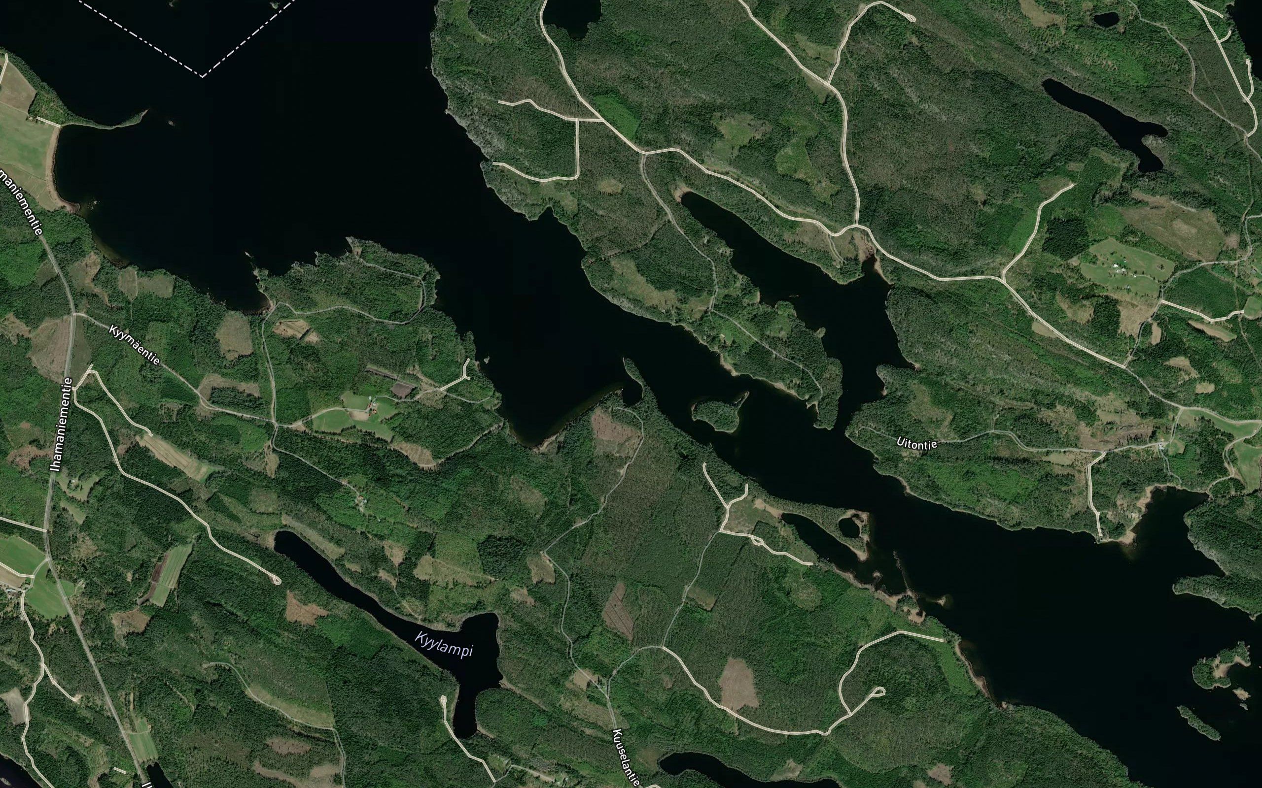 Murihauta
