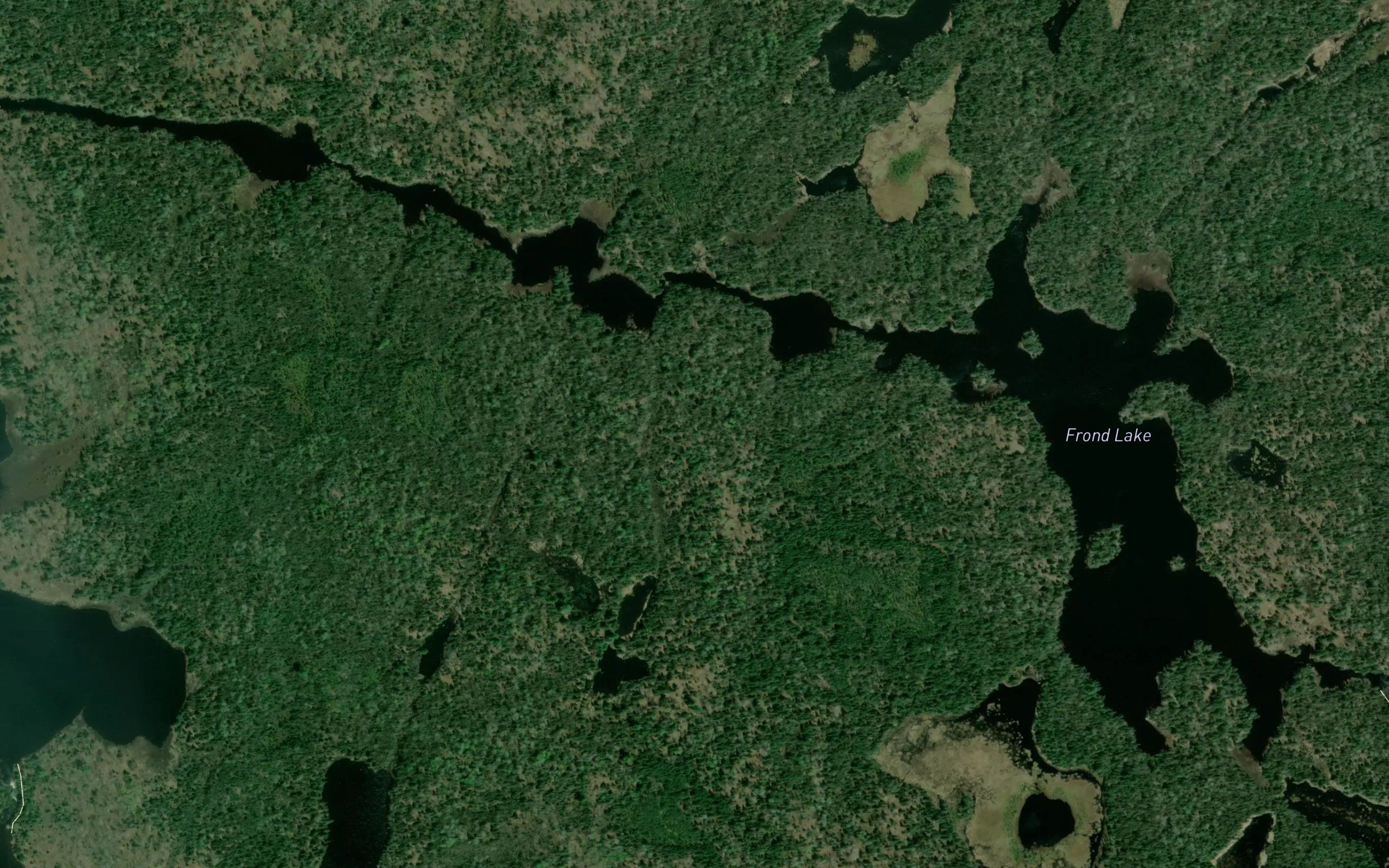 Frond Lake