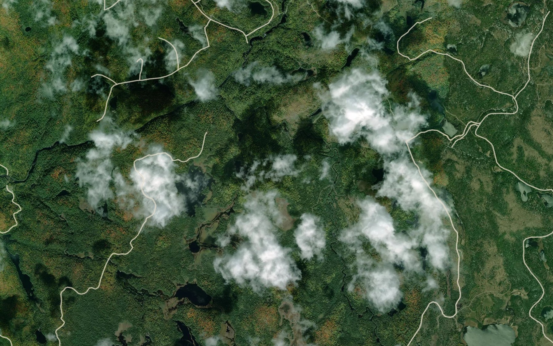 Satellite map of the Dixon Creek