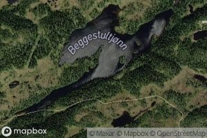 Beggestultjonn