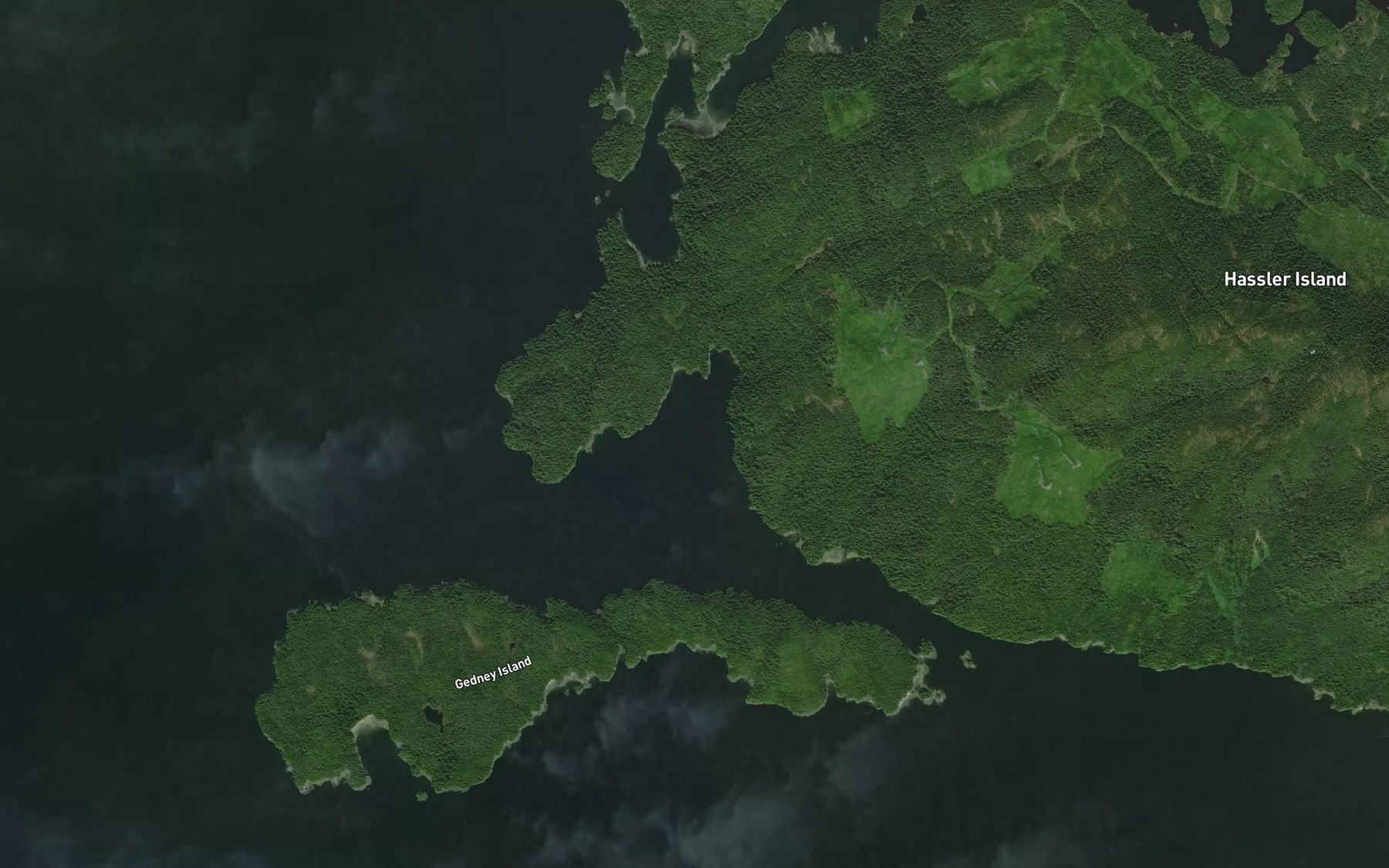 Satellite map of the Convenient Cove