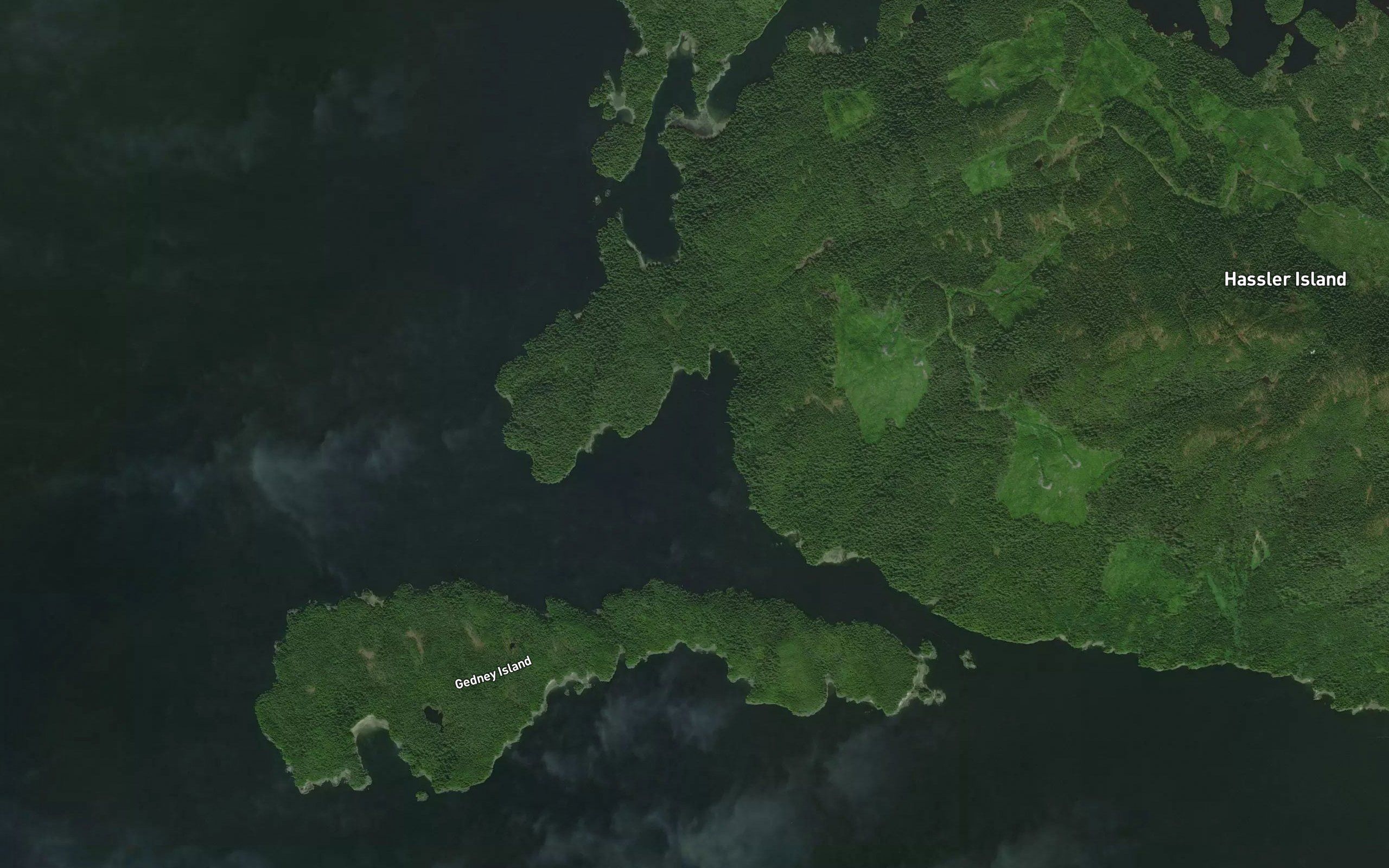 Convenient Cove
