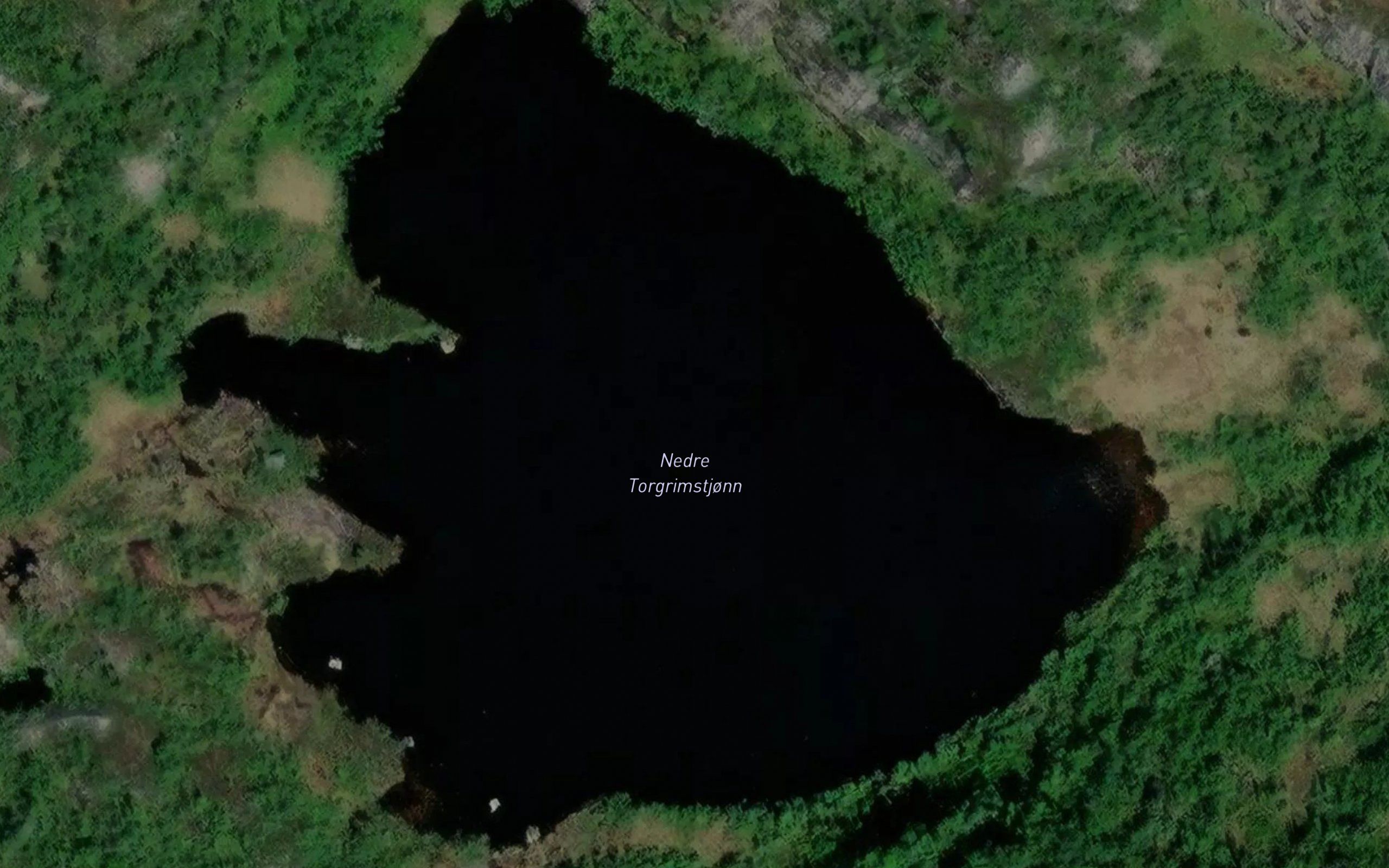 Torgrimstjorna