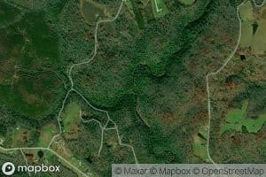 Coon Creek