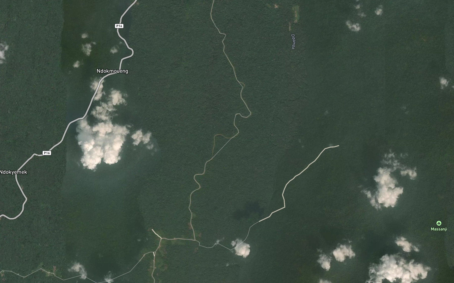 Satellite map of the Makongo