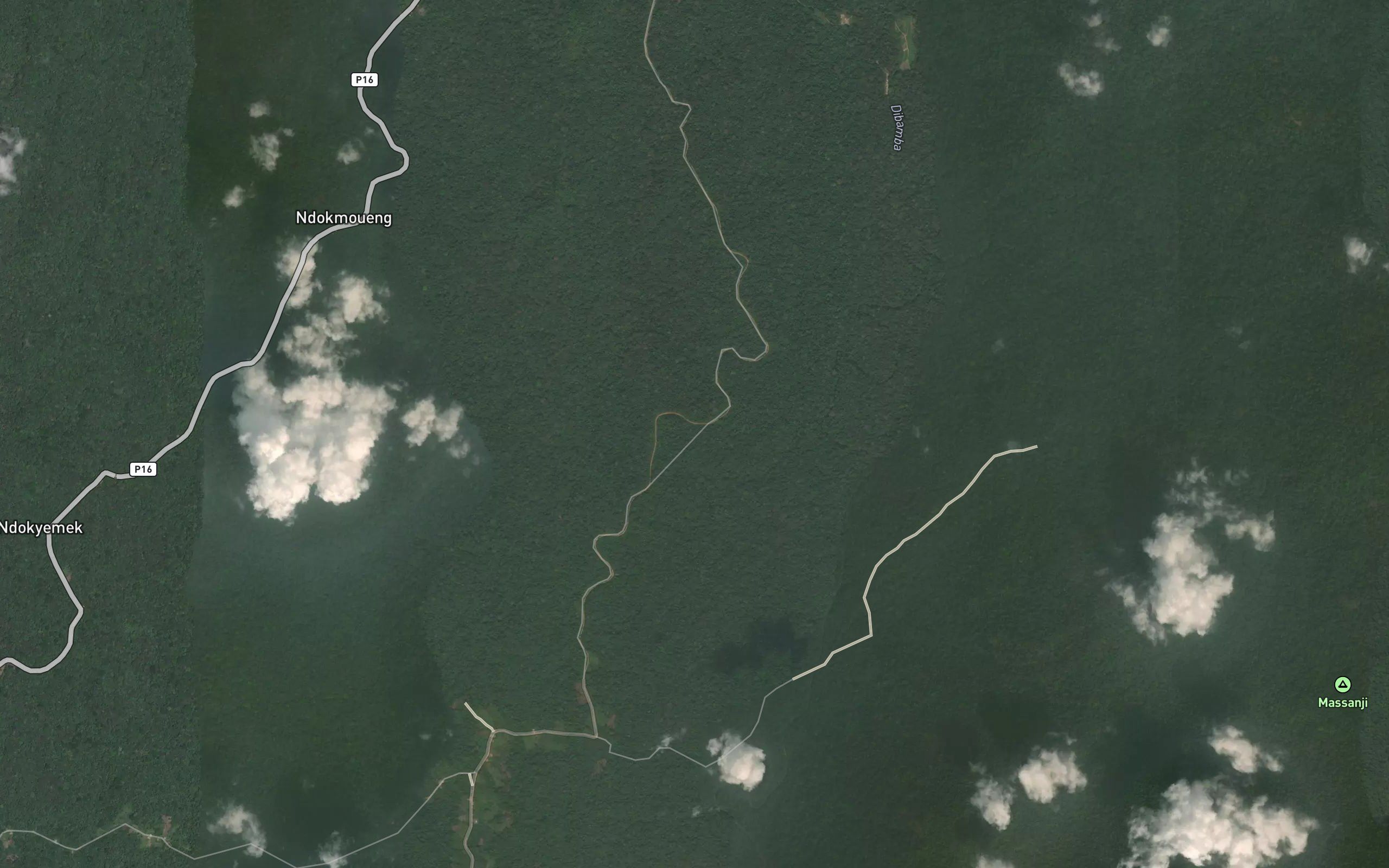 Makongo