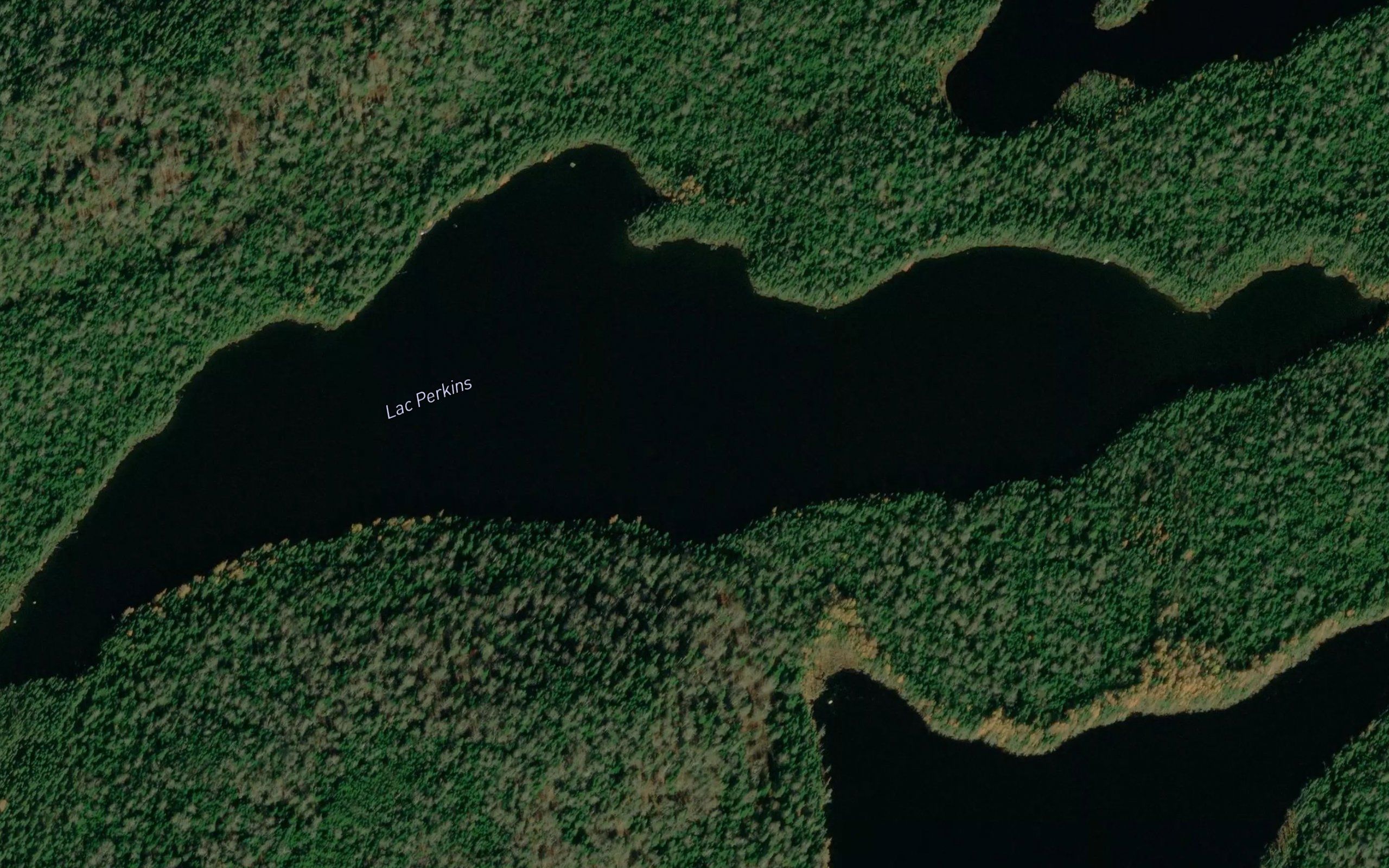 Lac Perkins