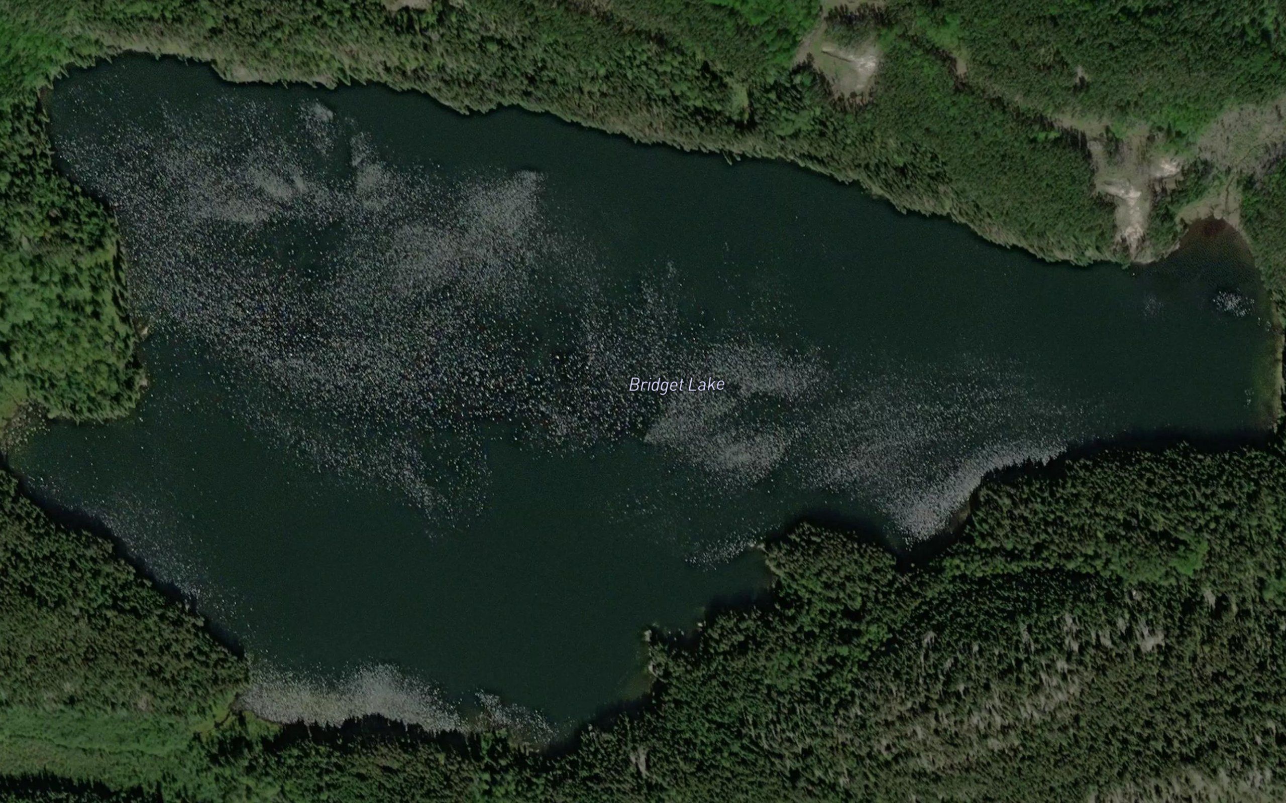 Bridget Lake