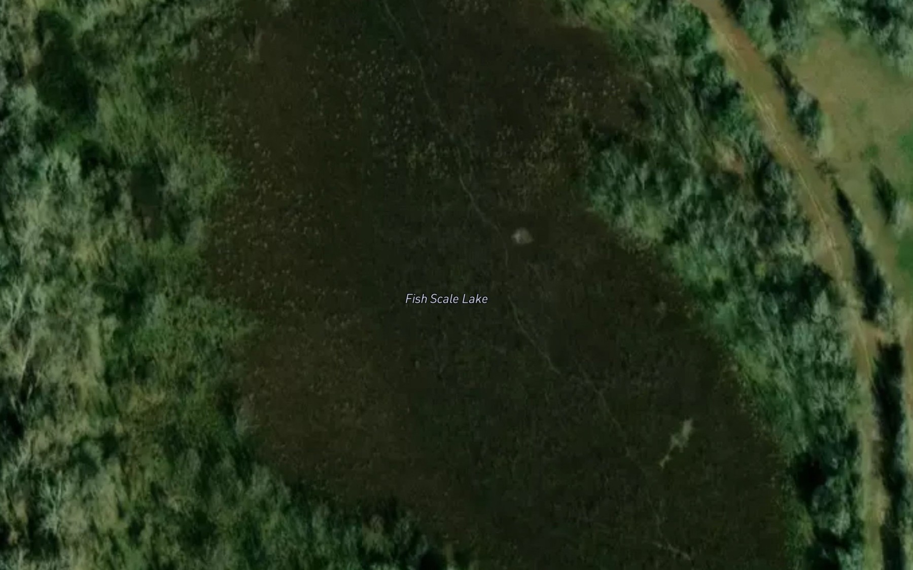 Satellite map of the Fish Scale Lake
