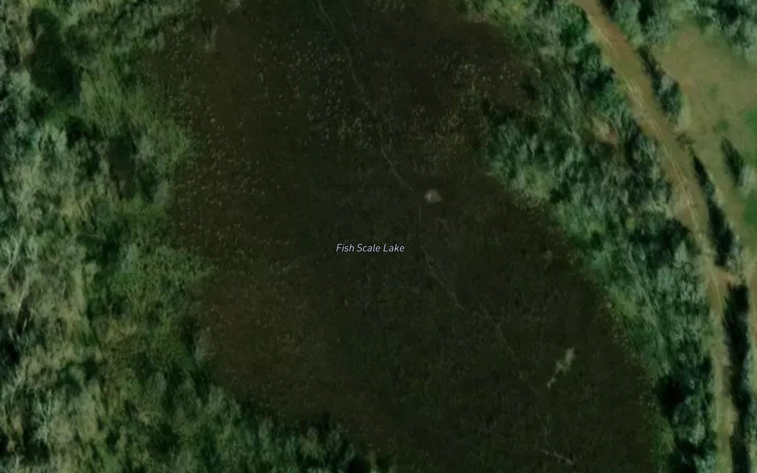 Fish Scale Lake