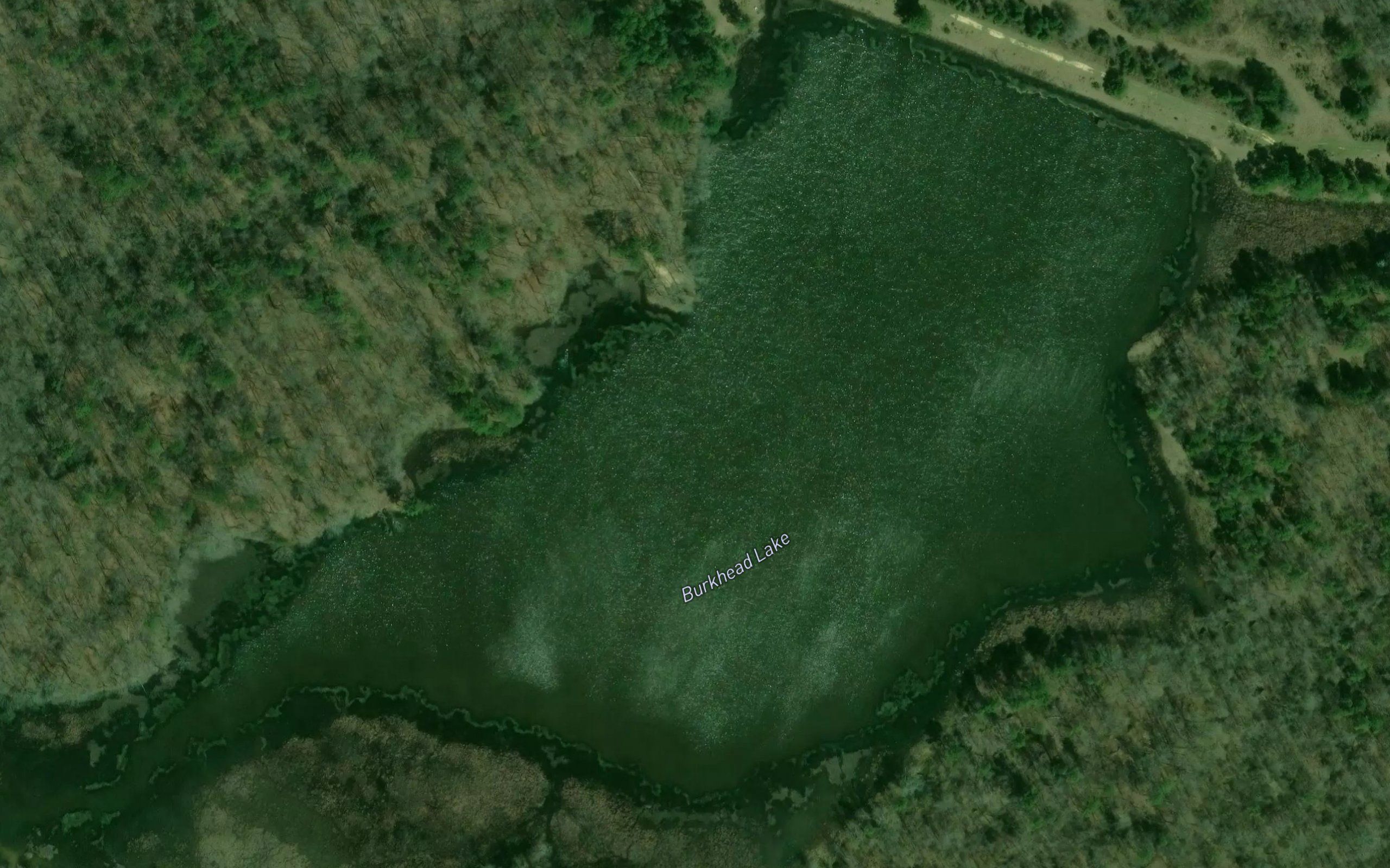 Burkhead Lake