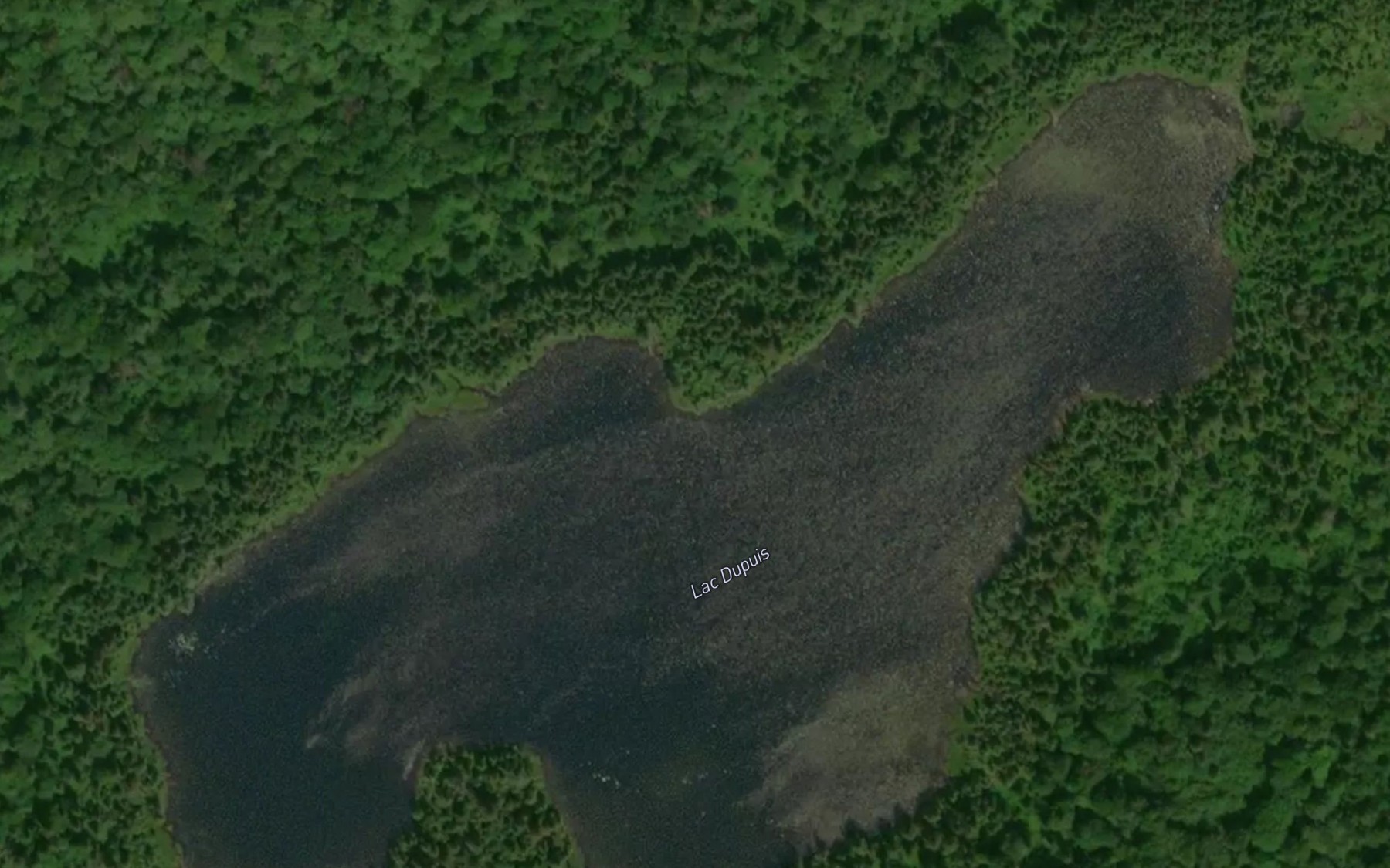Satellite map of the Lac Dupuis