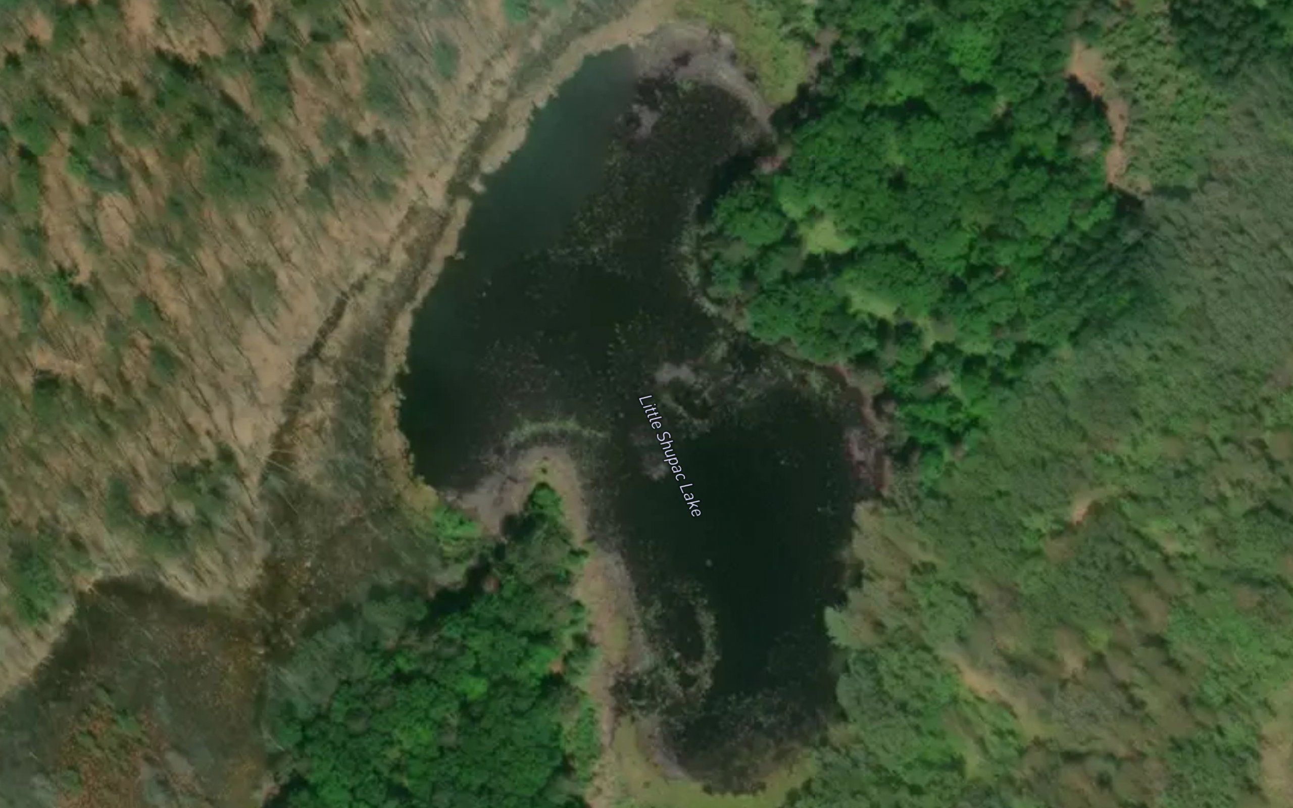 Little Shupac Lake
