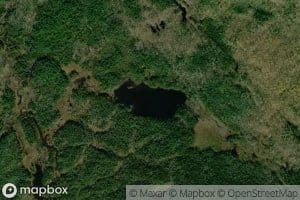 Weed Pond