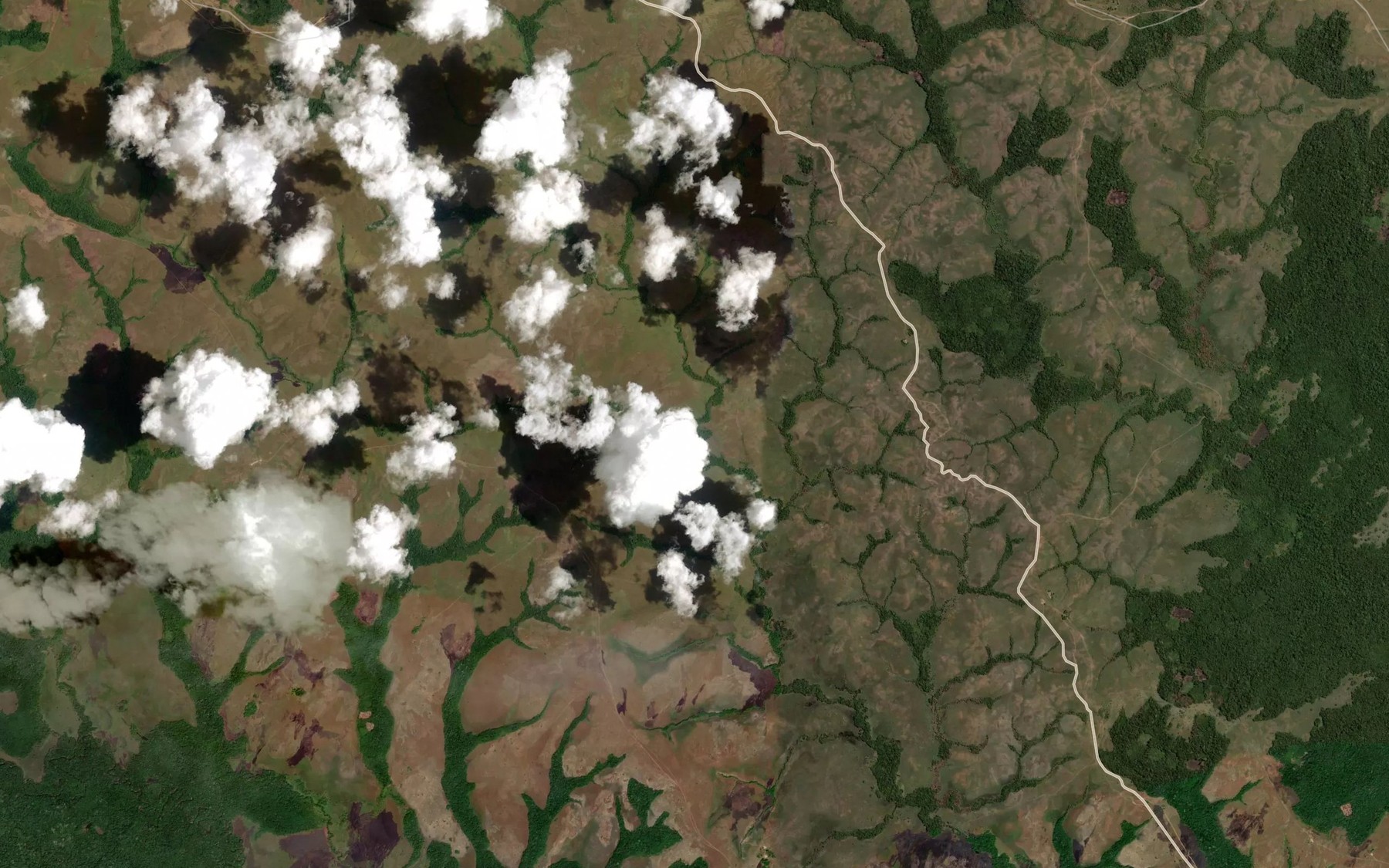 Satellite map of the Cano Culebra