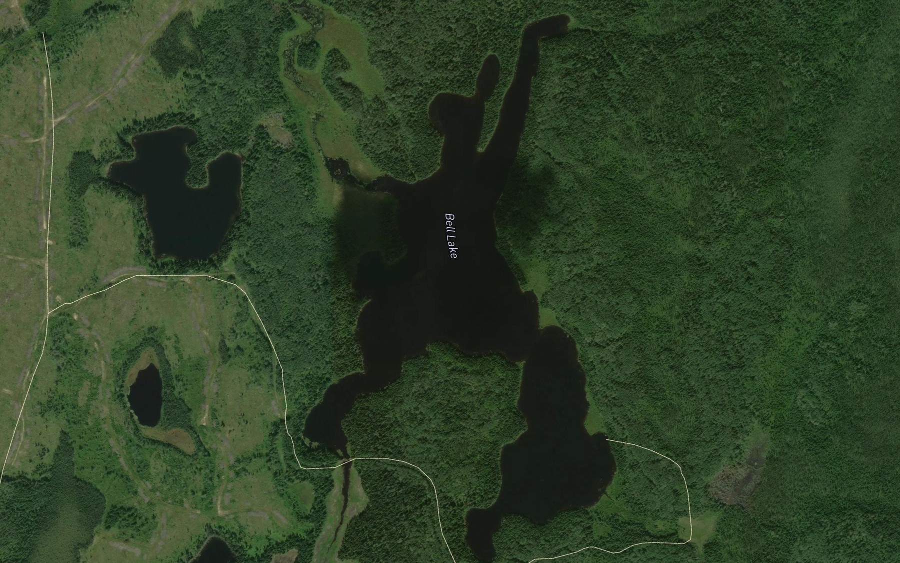 Satellite map of the Bell Lake