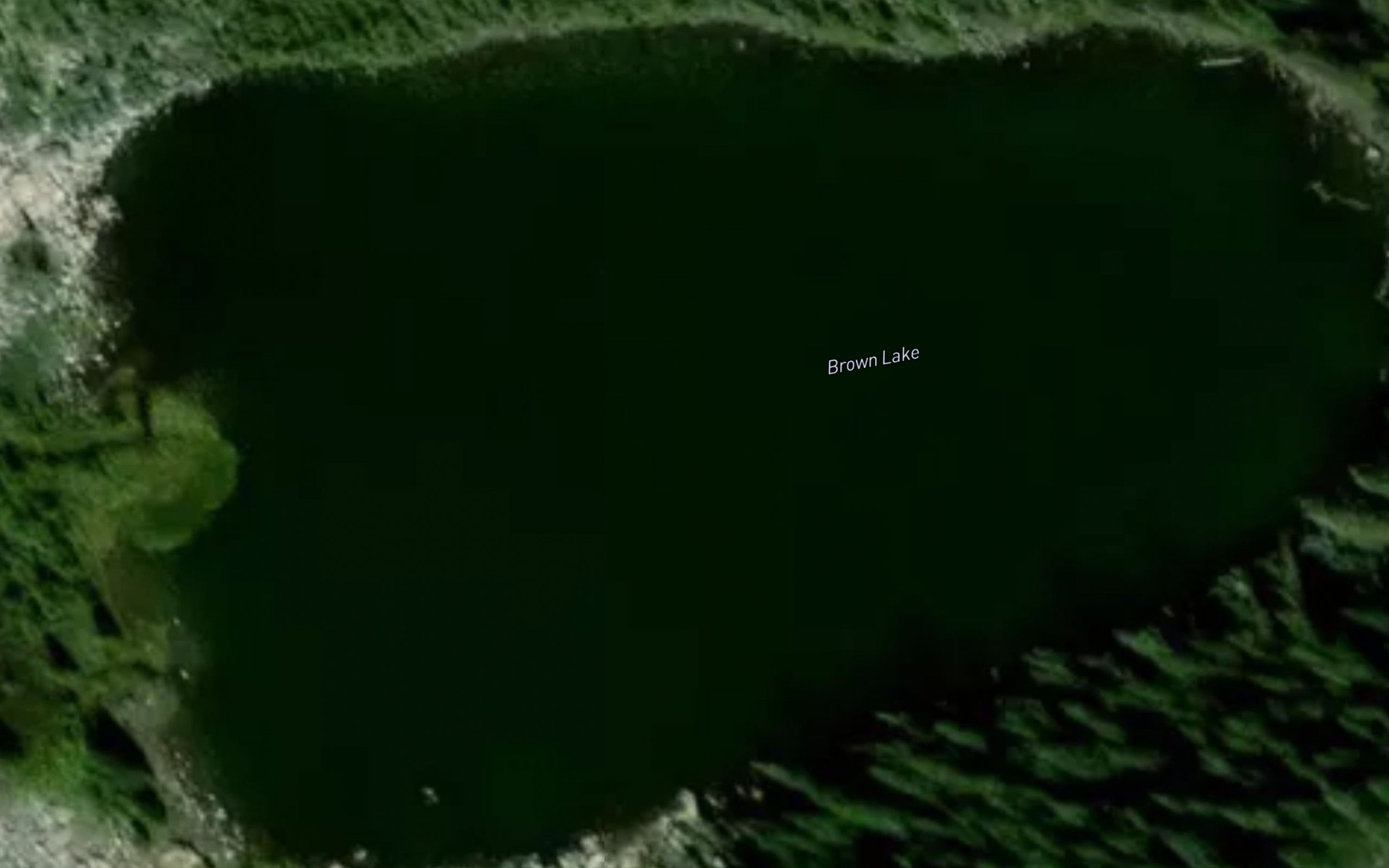 Satellite map of the Brown Lake