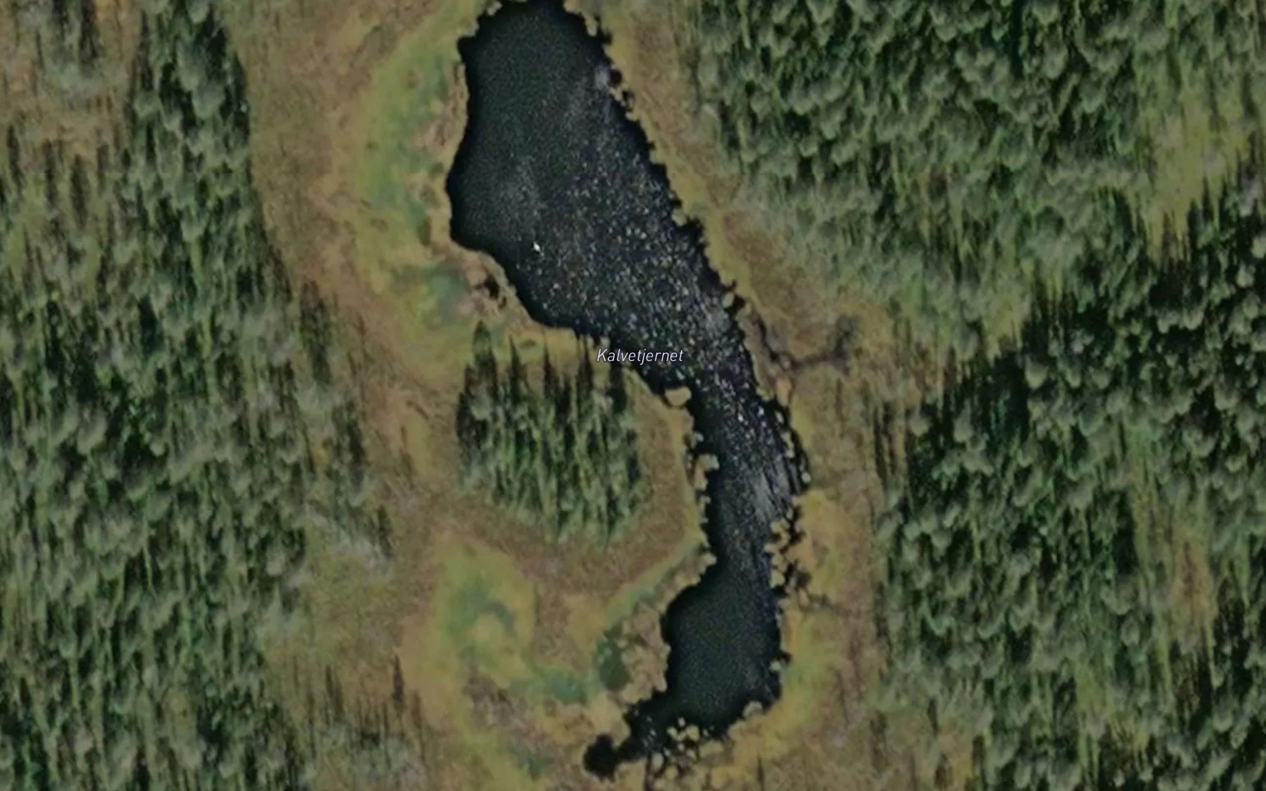 Kalvetjernet