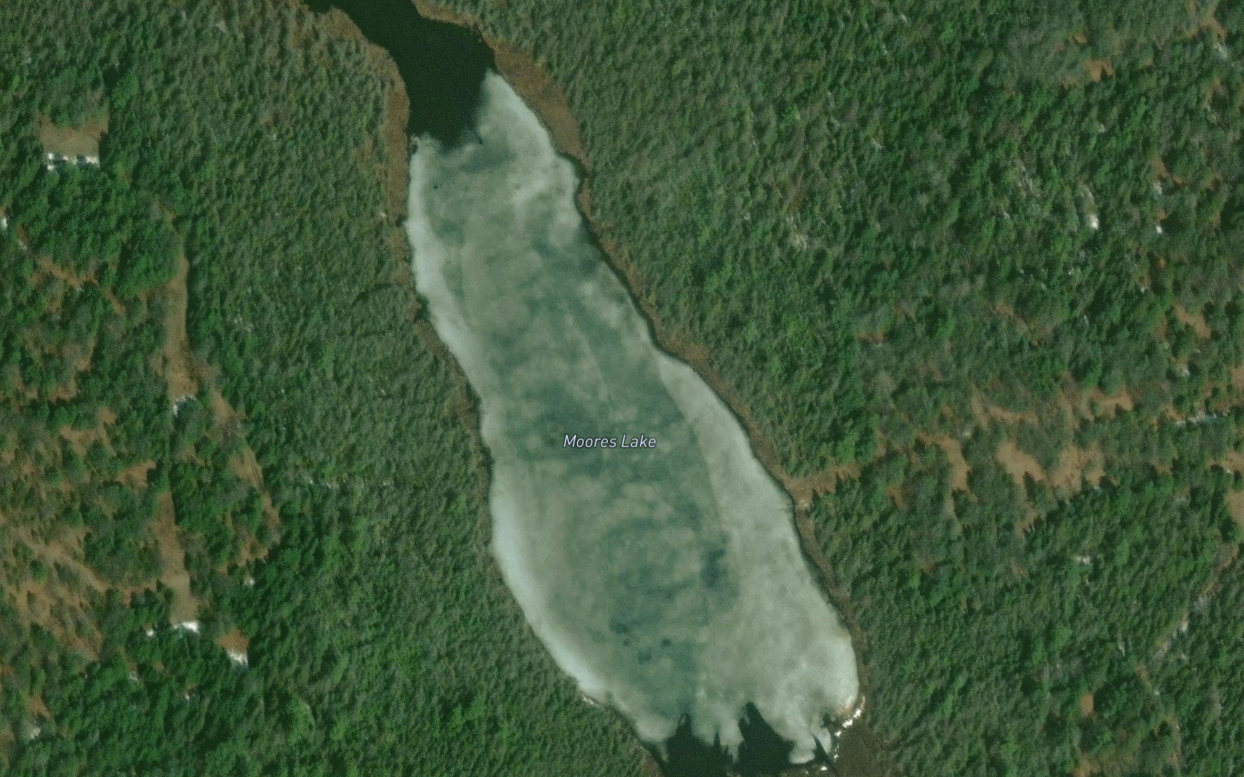 Moores Lake