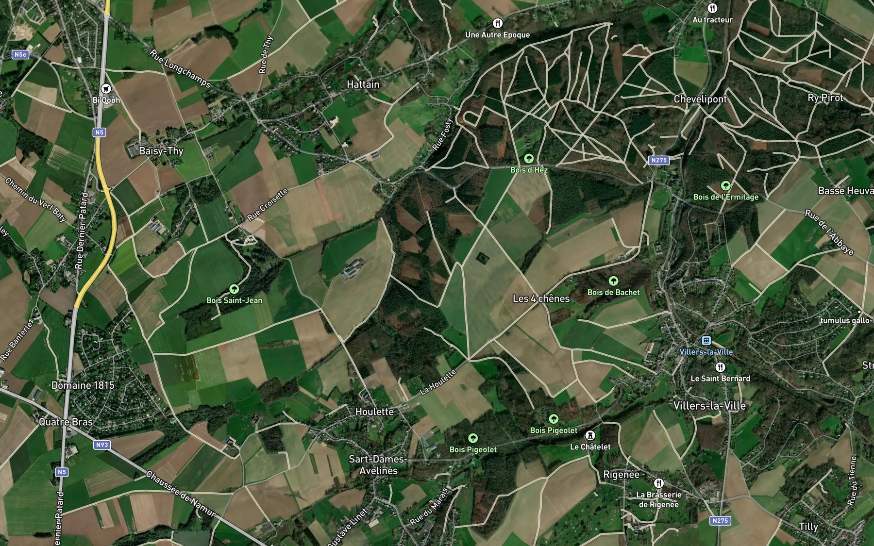 Satellite map of the Marais des Chiens
