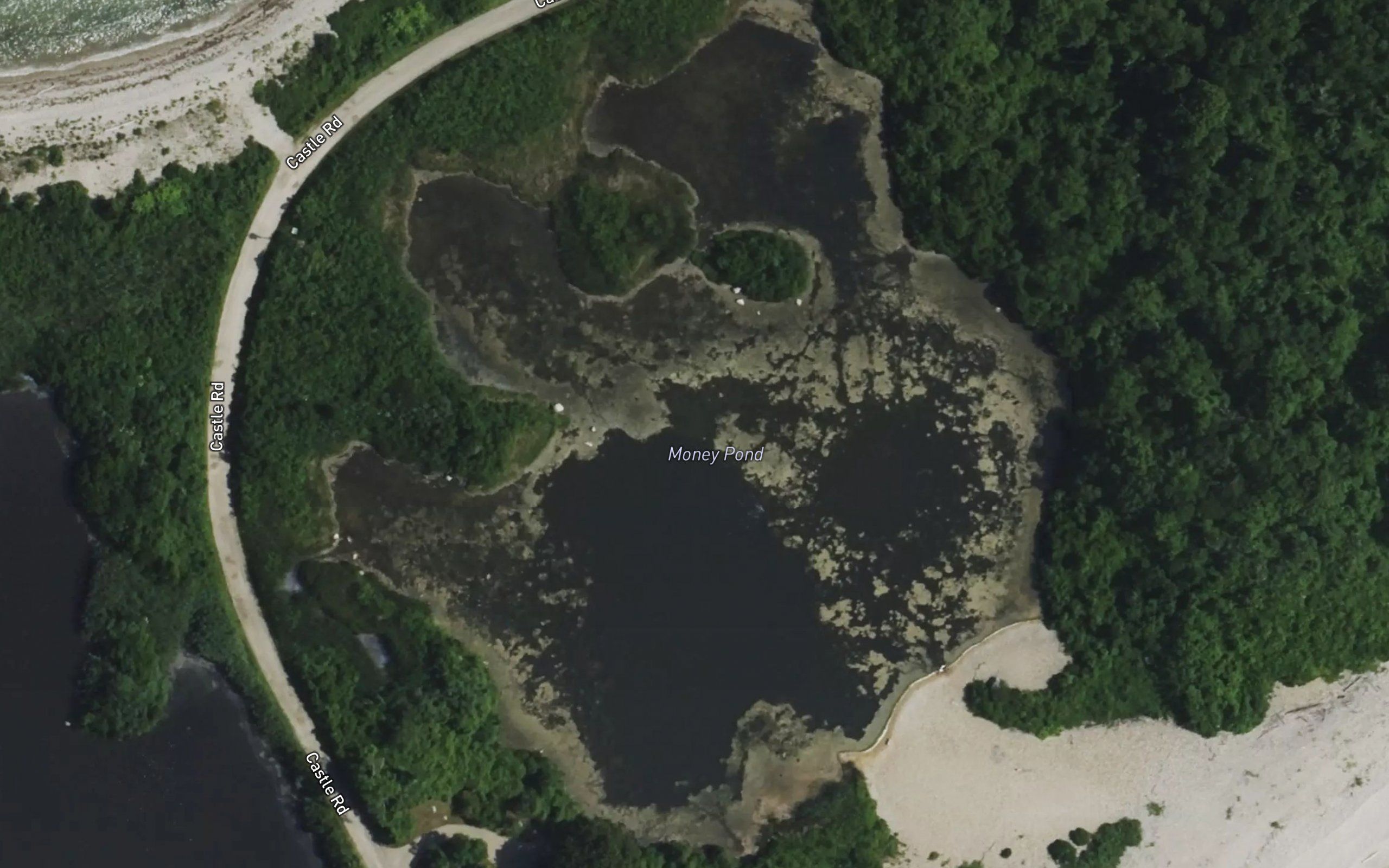 Money Pond