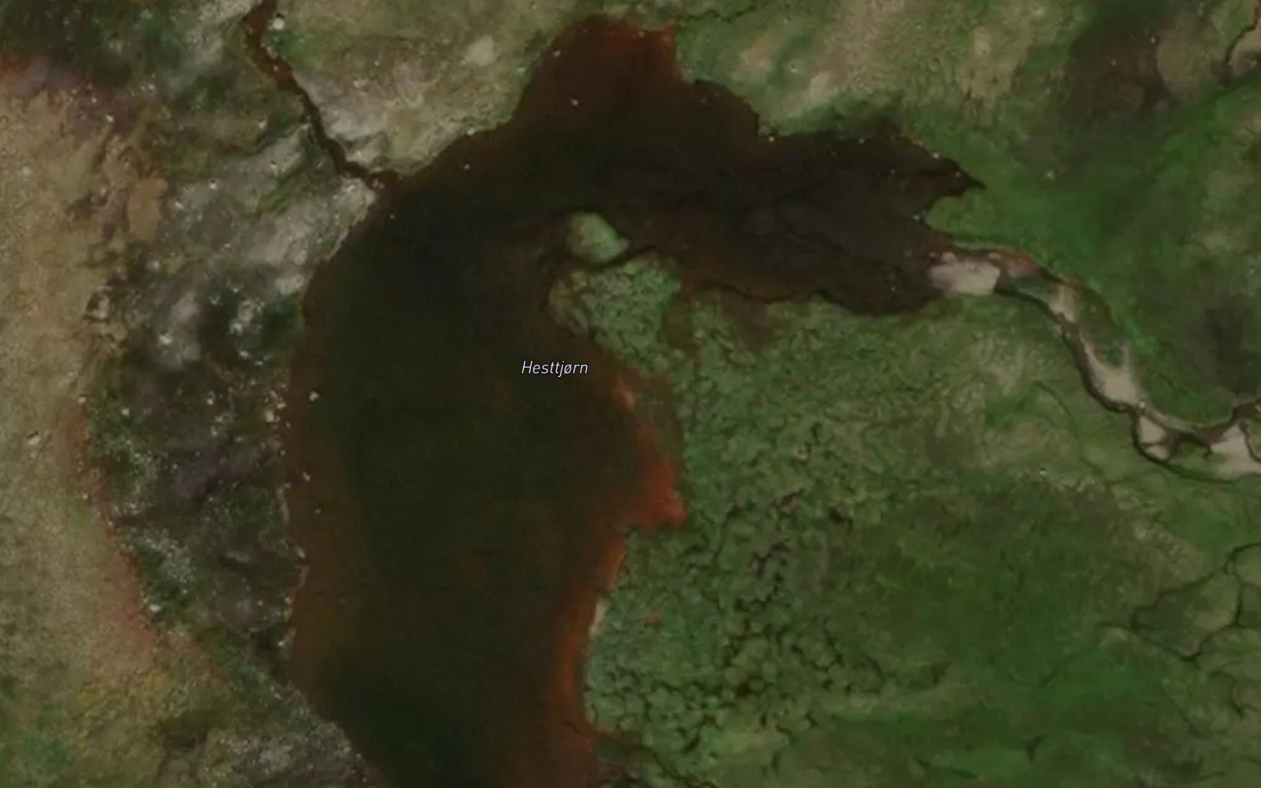 Hesttjorn
