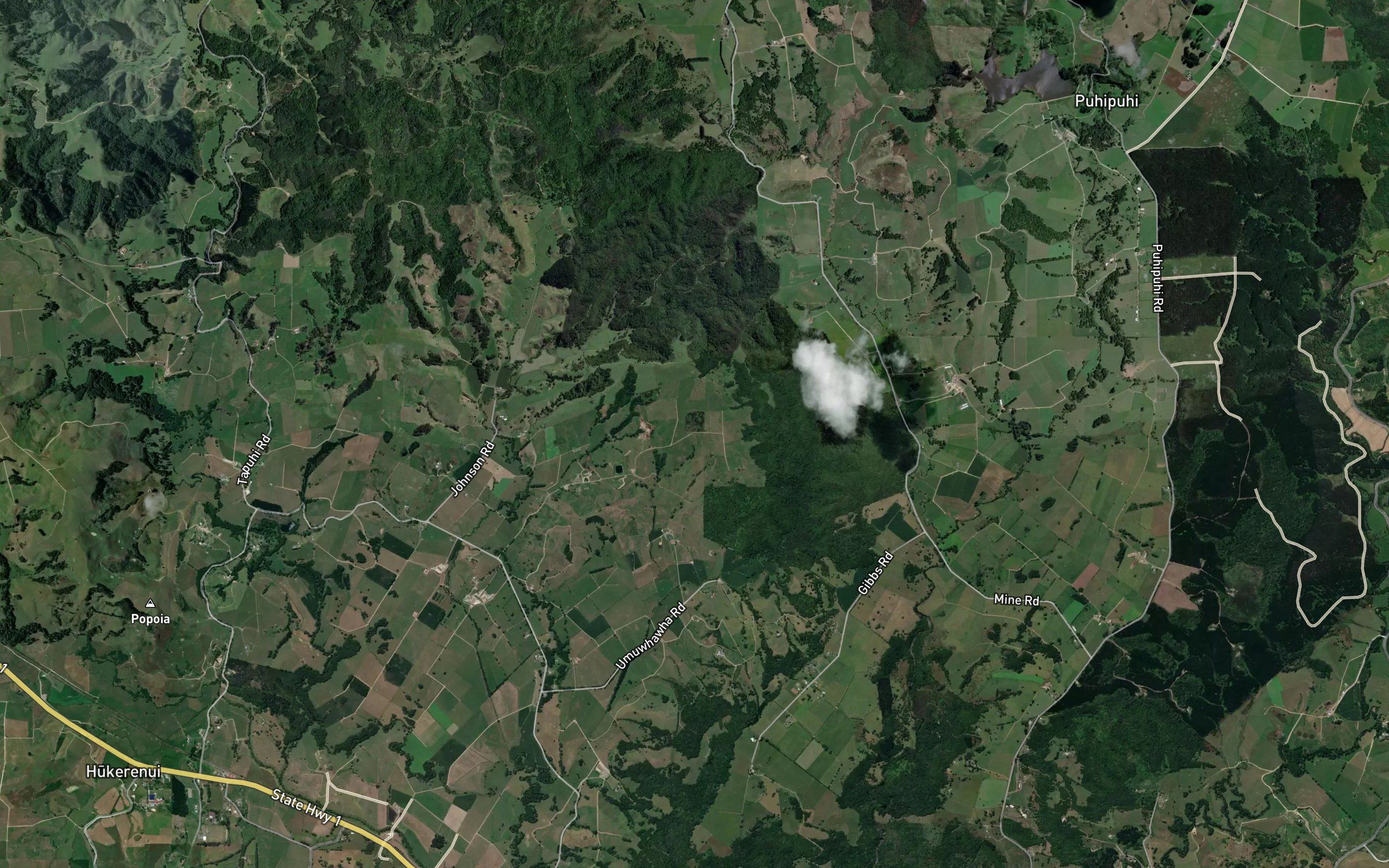 Papanui Creek