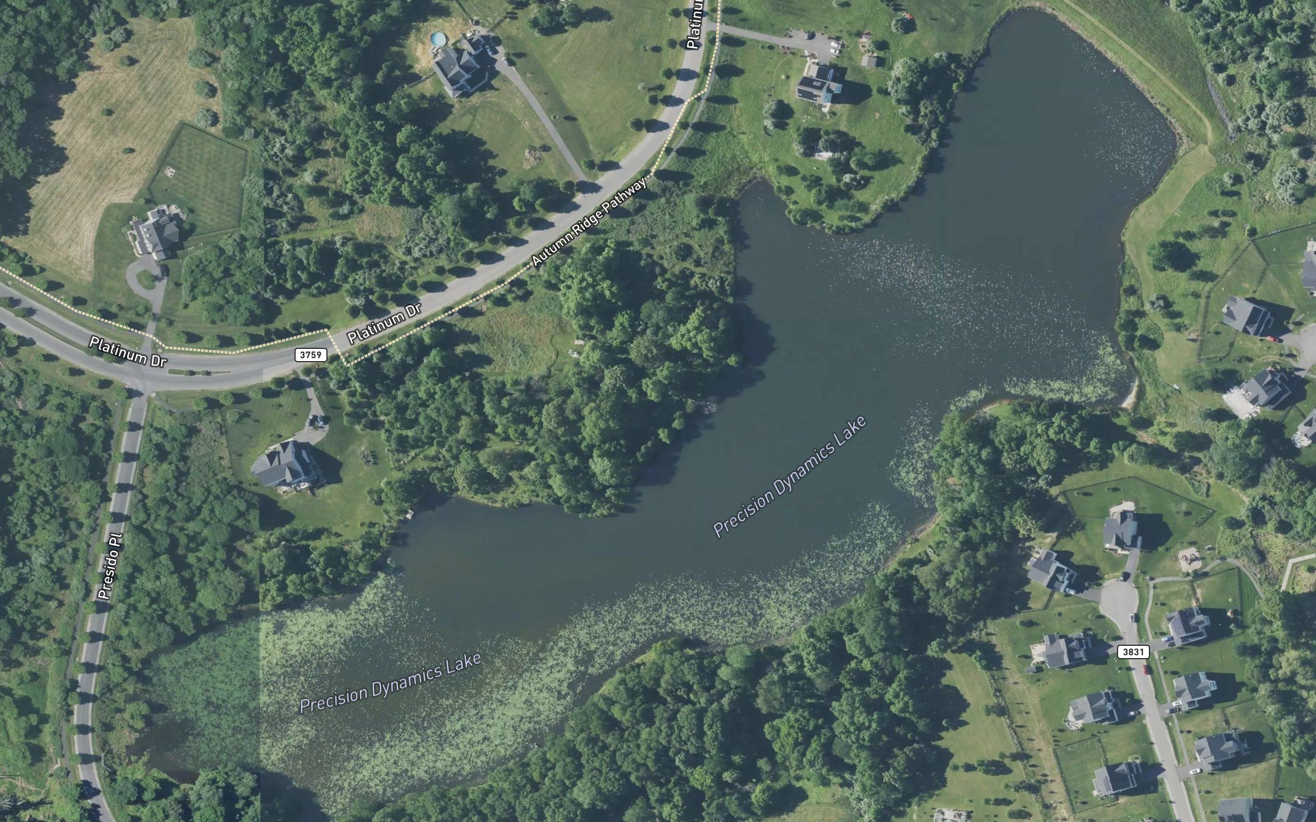 Precision Dynamics Lake