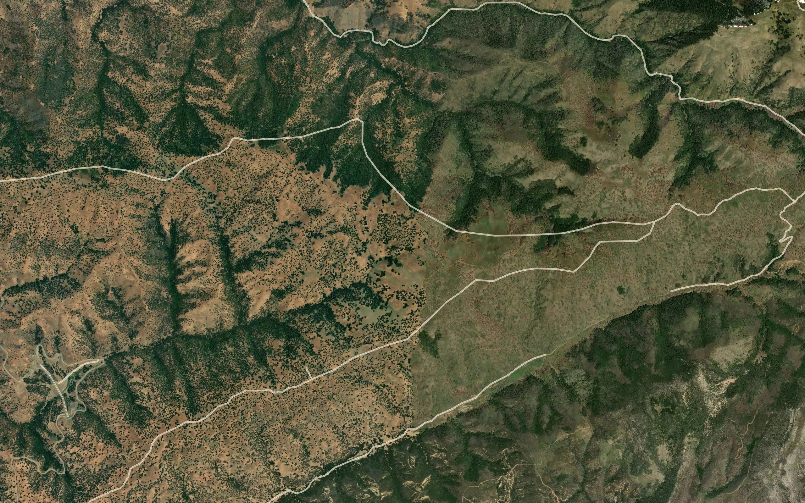 Elderberry Springs