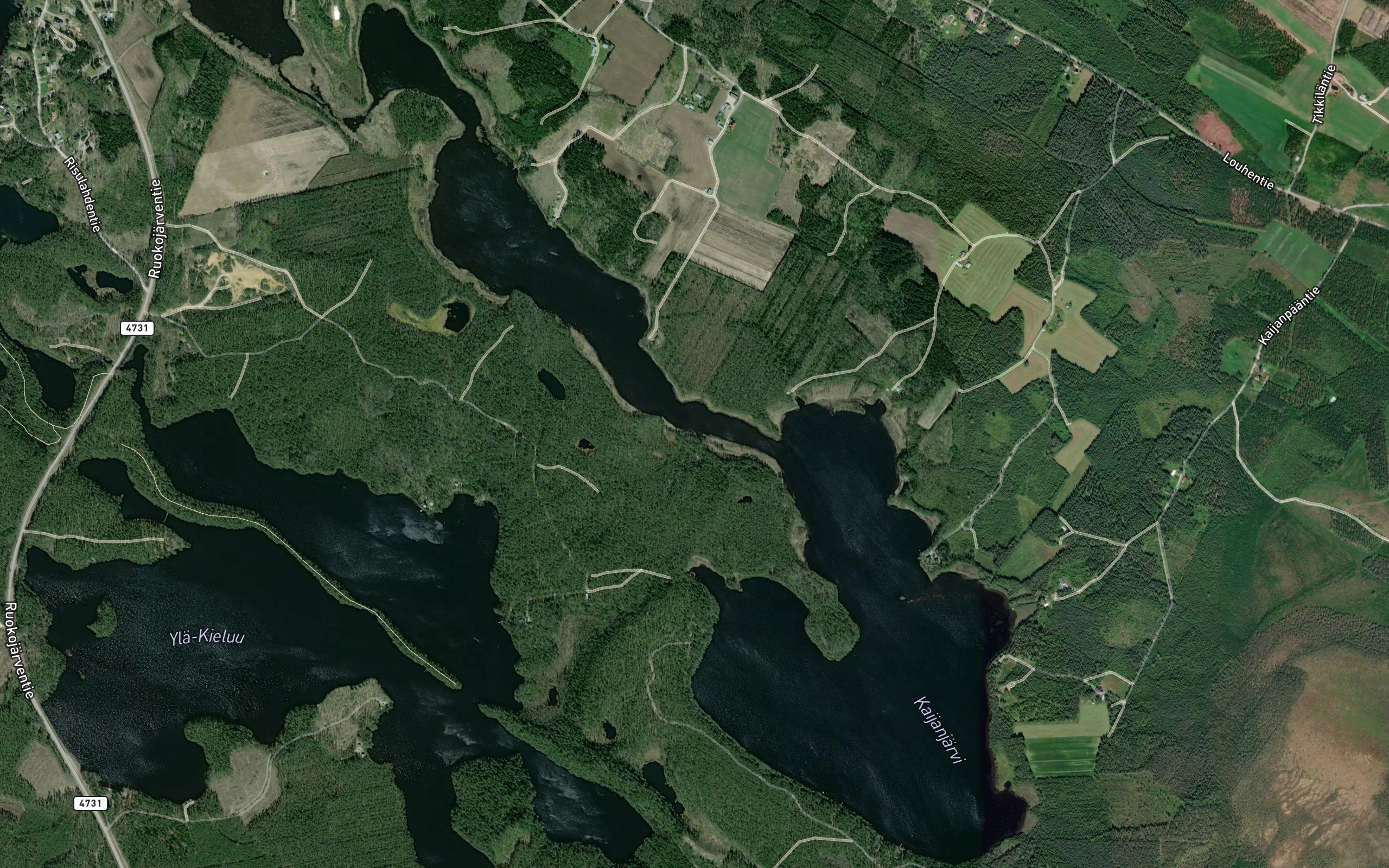 Kuikkalahti