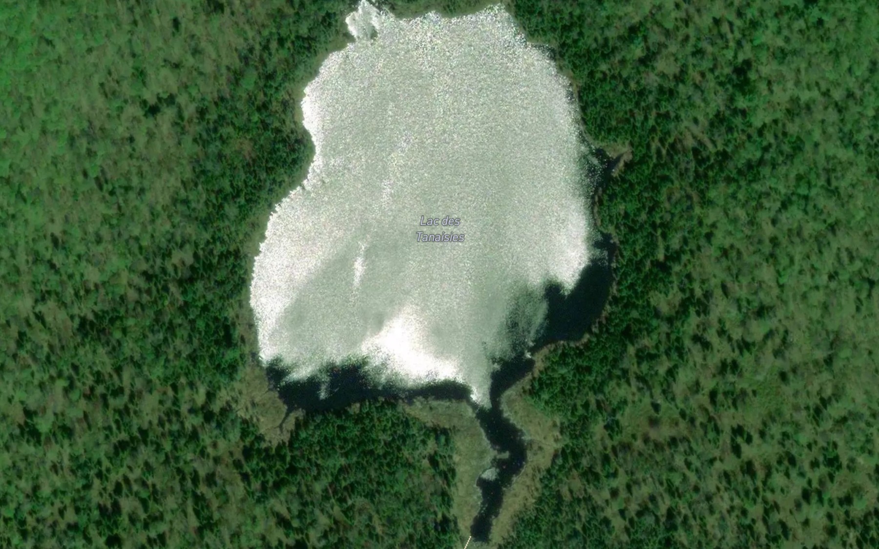 Satellite map of the Lac des Tanaisies
