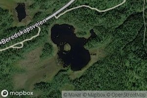 Sagtjonna