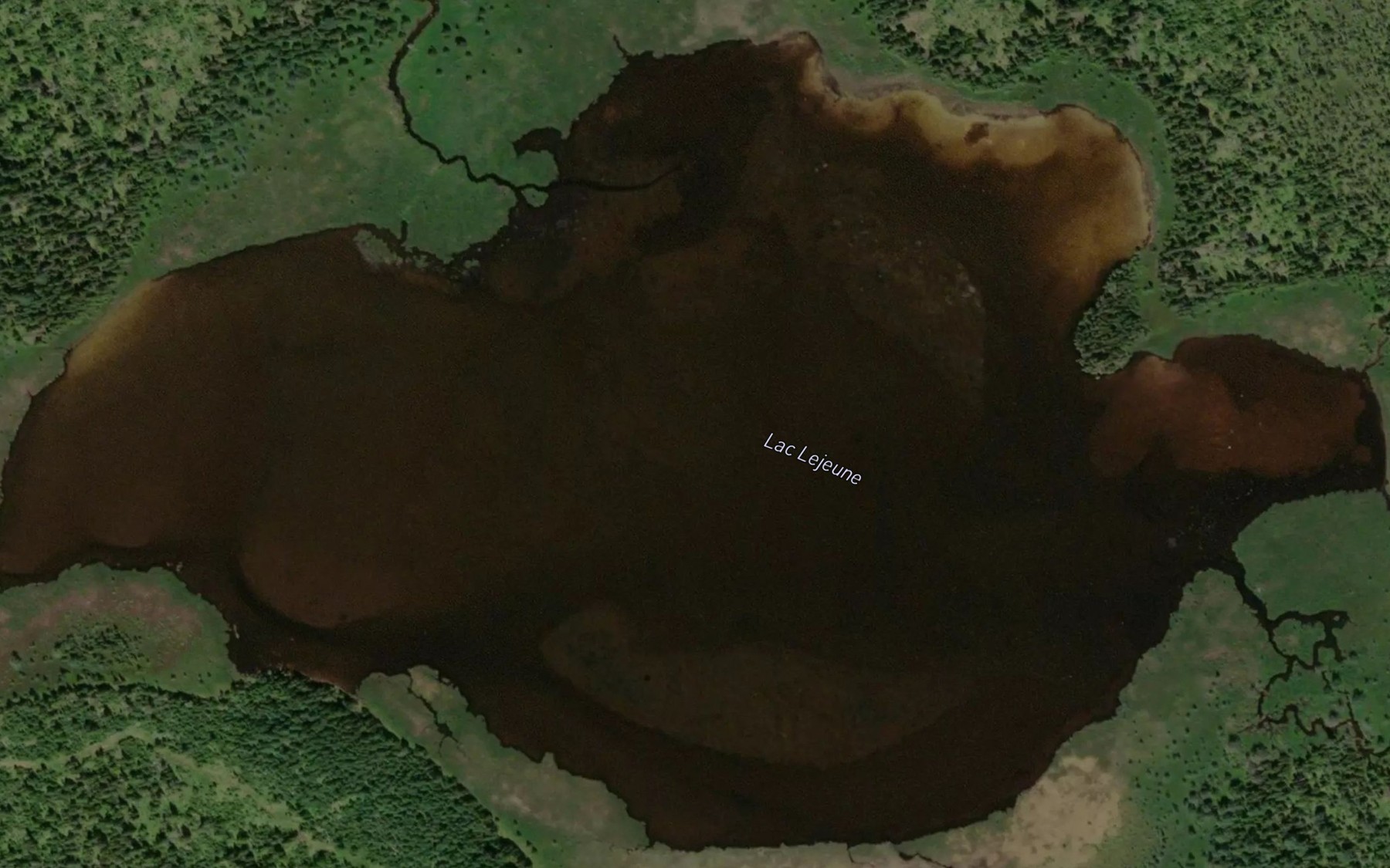 Satellite map of the Lac Lejeune