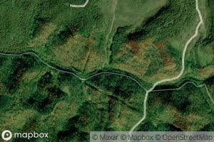 Gouge Branch